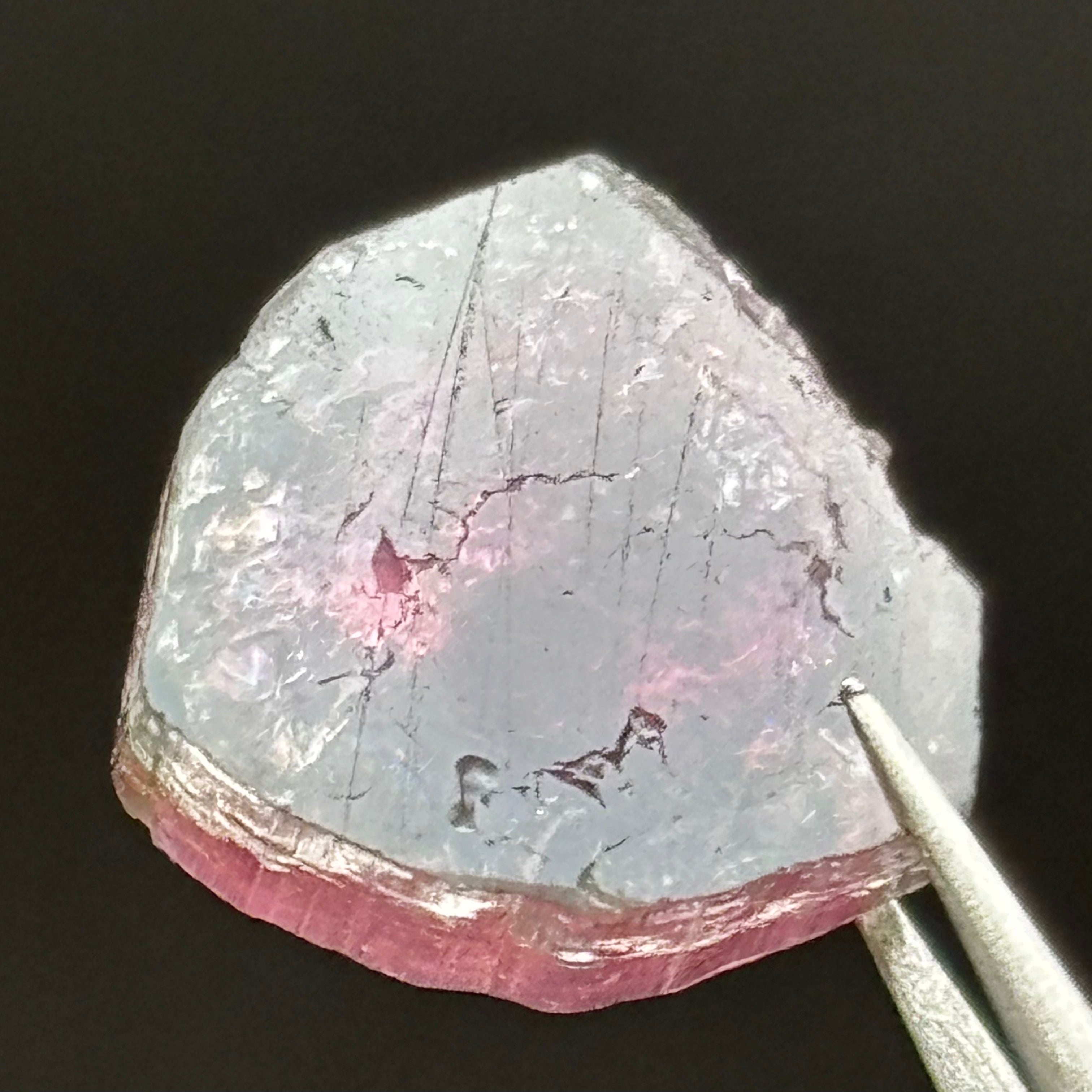 Watermelon Tourmaline Cross-Section - 061