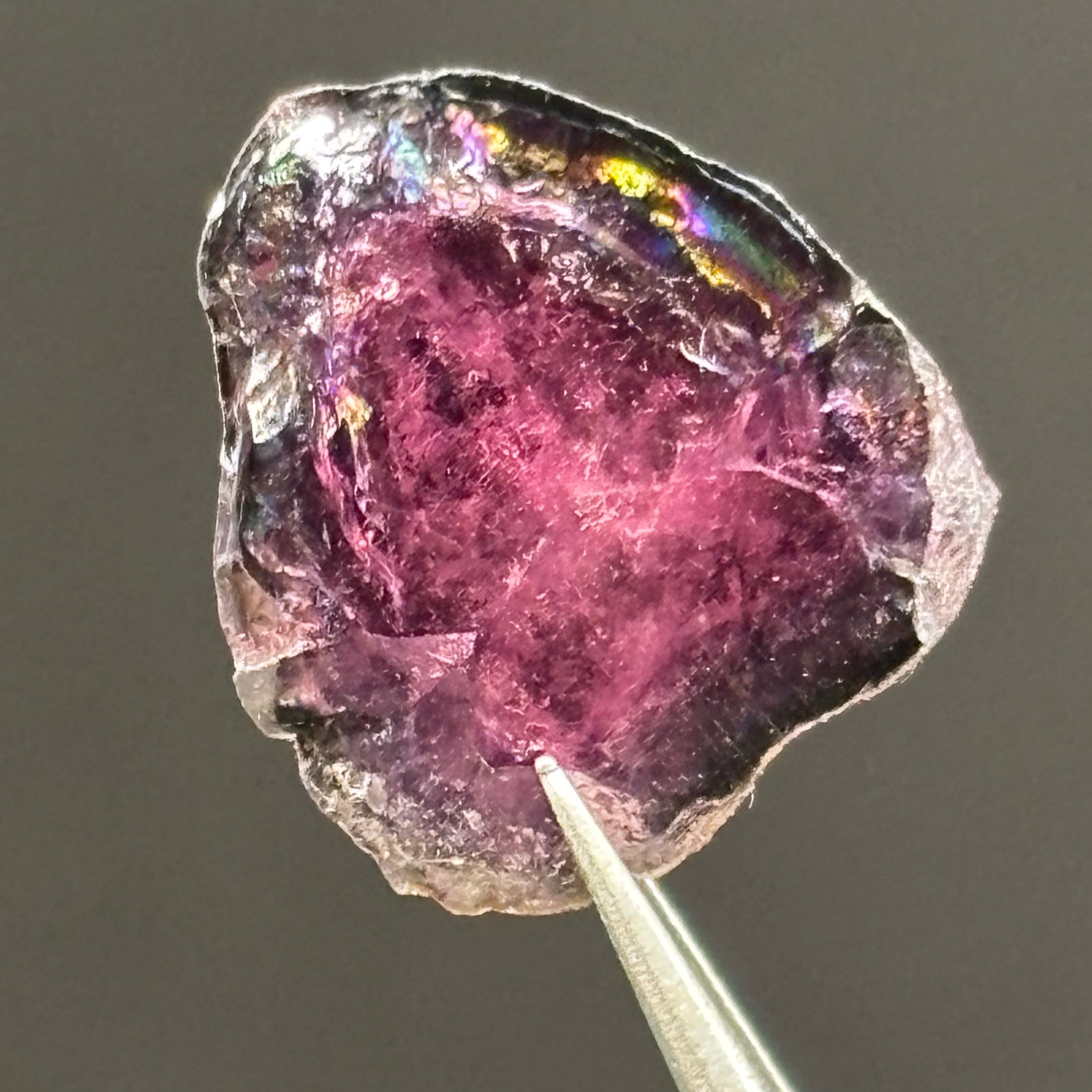 Watermelon Tourmaline Cross-Section - 062