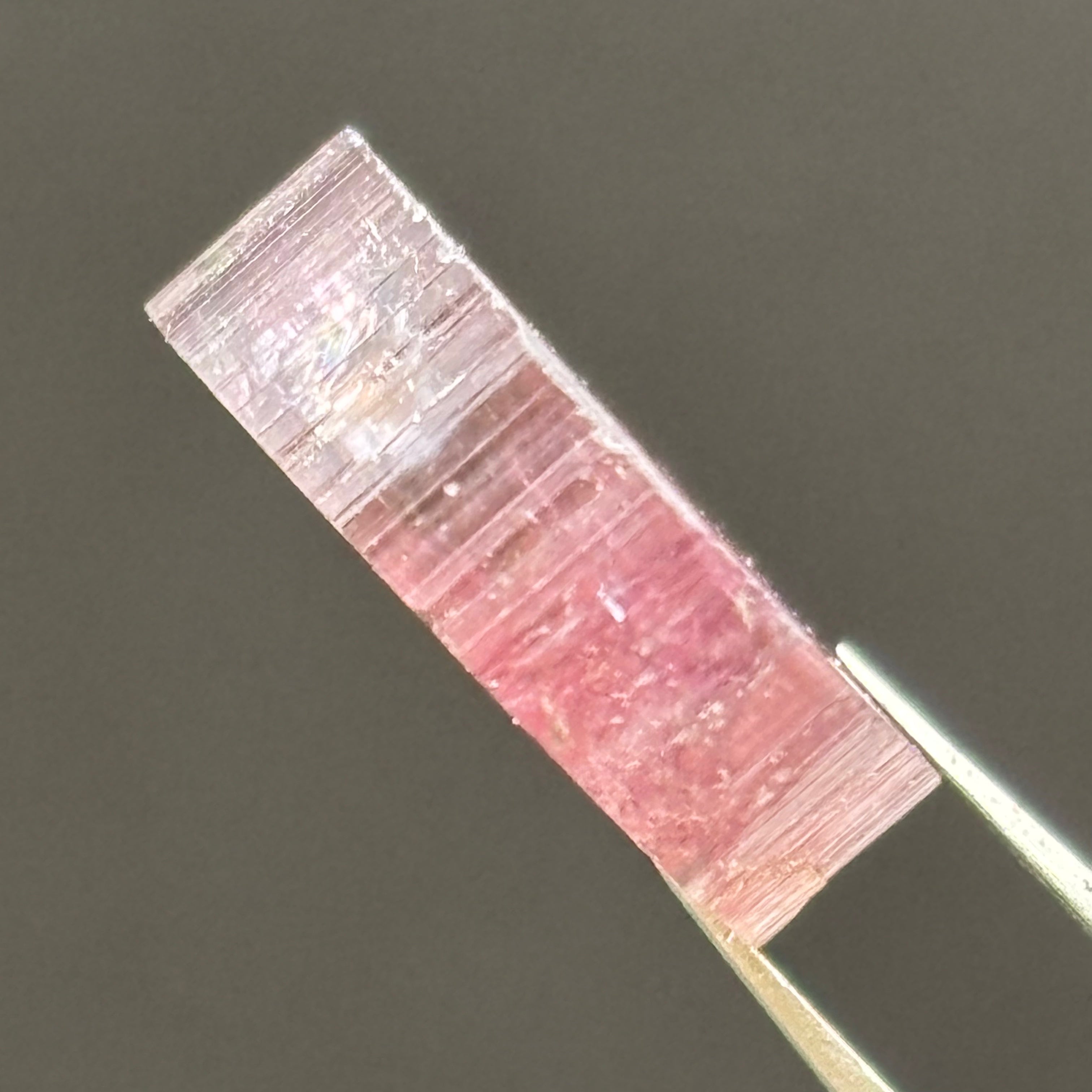 Watermelon Tourmaline Cross-Section - 062