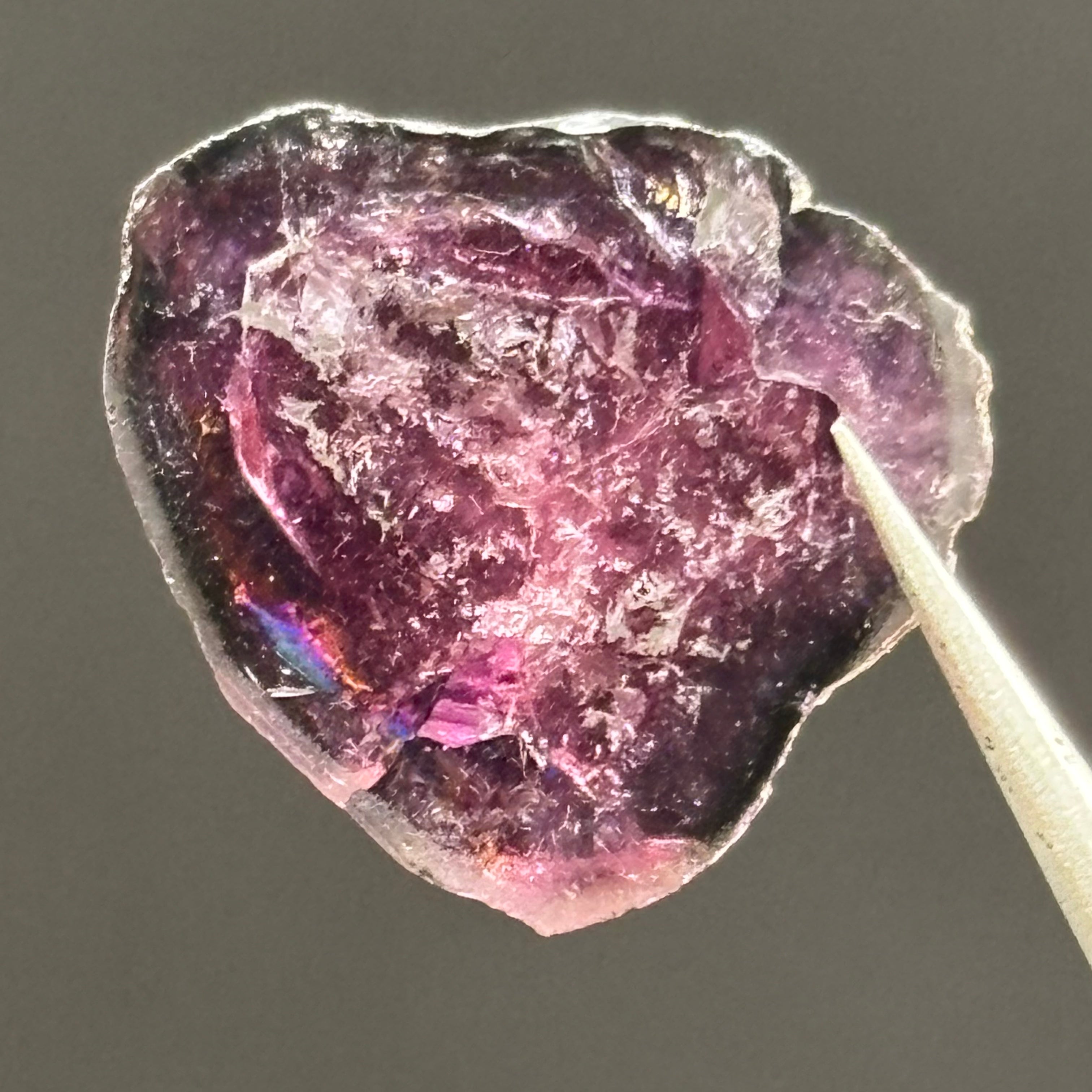 Watermelon Tourmaline Cross-Section - 062