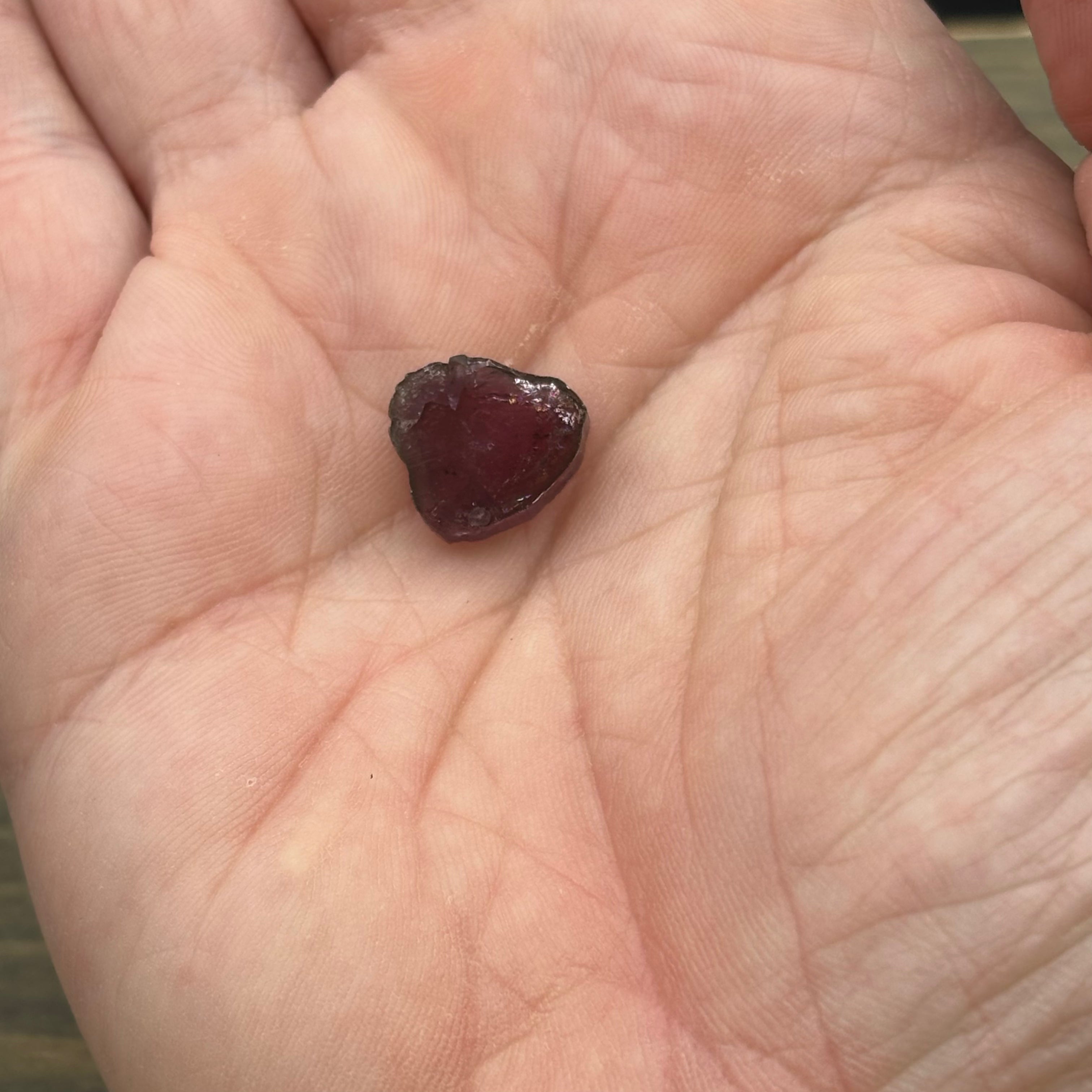 Watermelon Tourmaline Cross-Section - 062