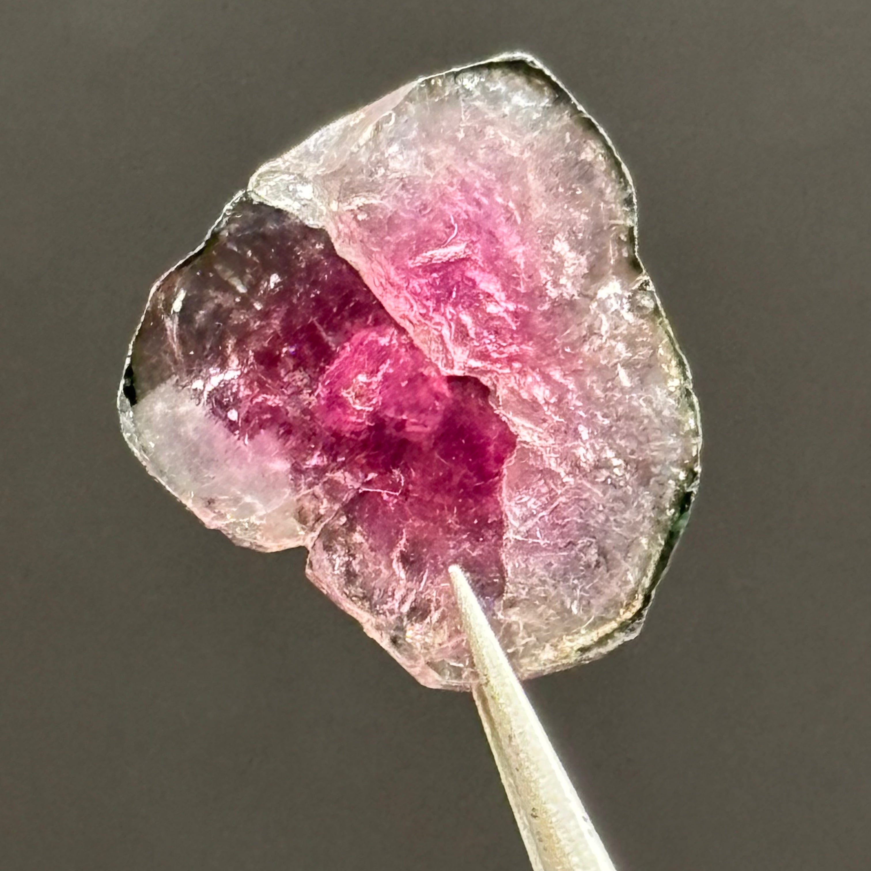 Watermelon Tourmaline Cross-Section - 063