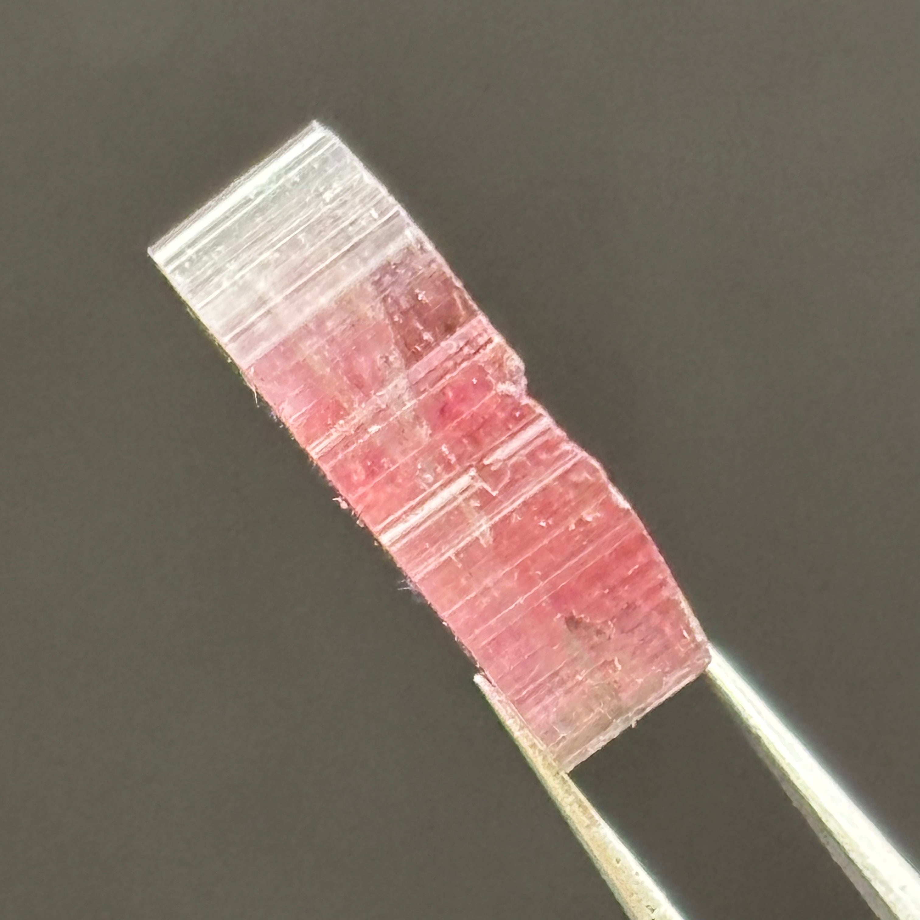 Watermelon Tourmaline Cross-Section - 063