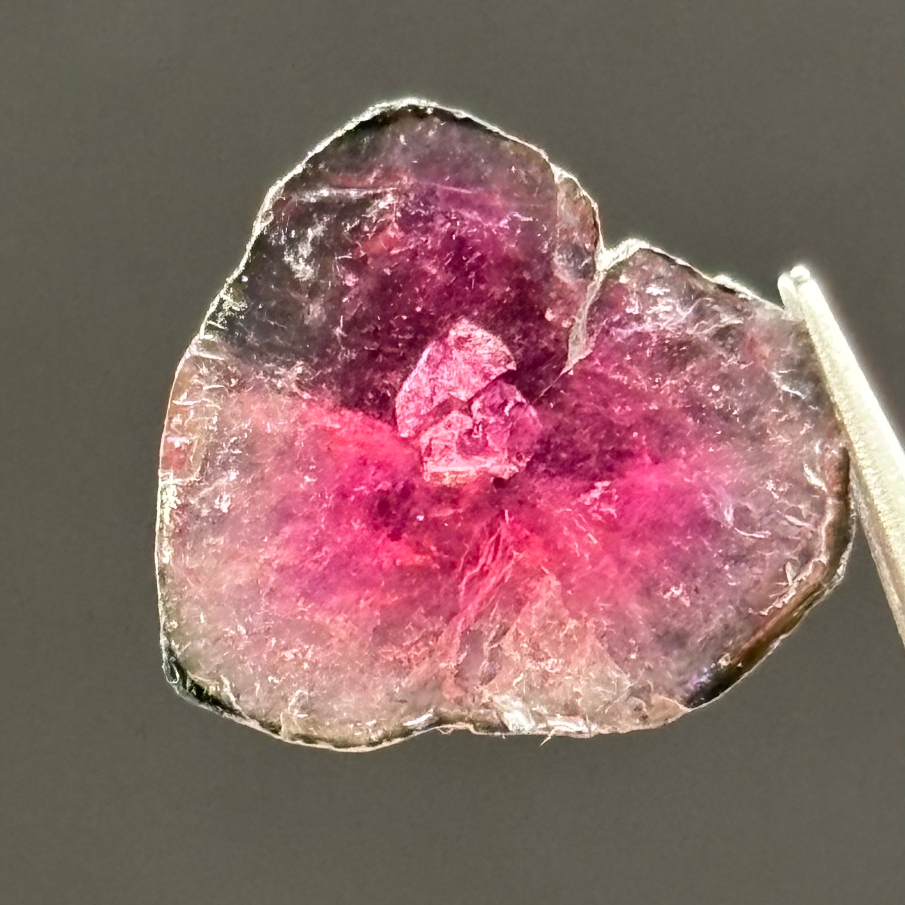 Watermelon Tourmaline Cross-Section - 063