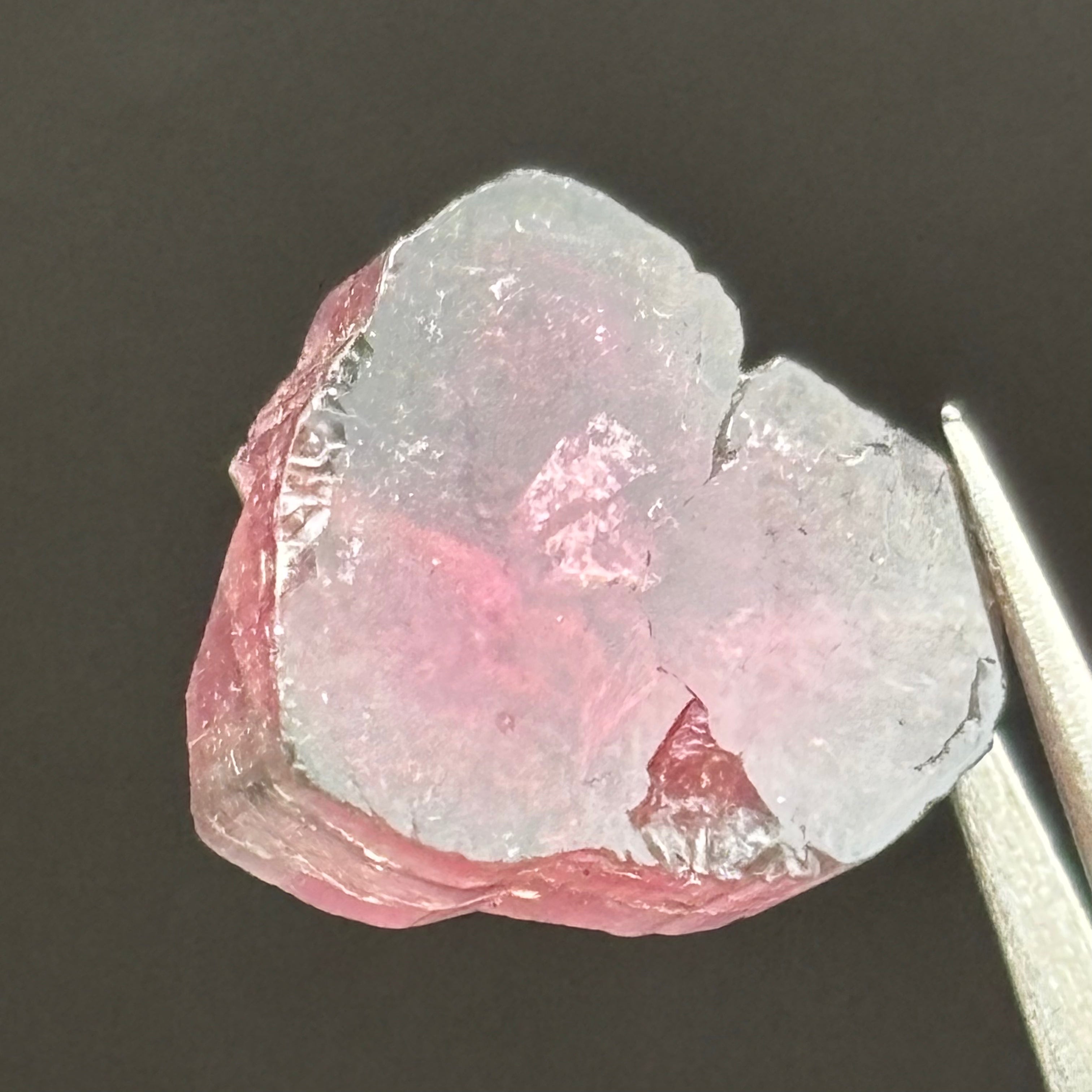 Watermelon Tourmaline Cross-Section - 063