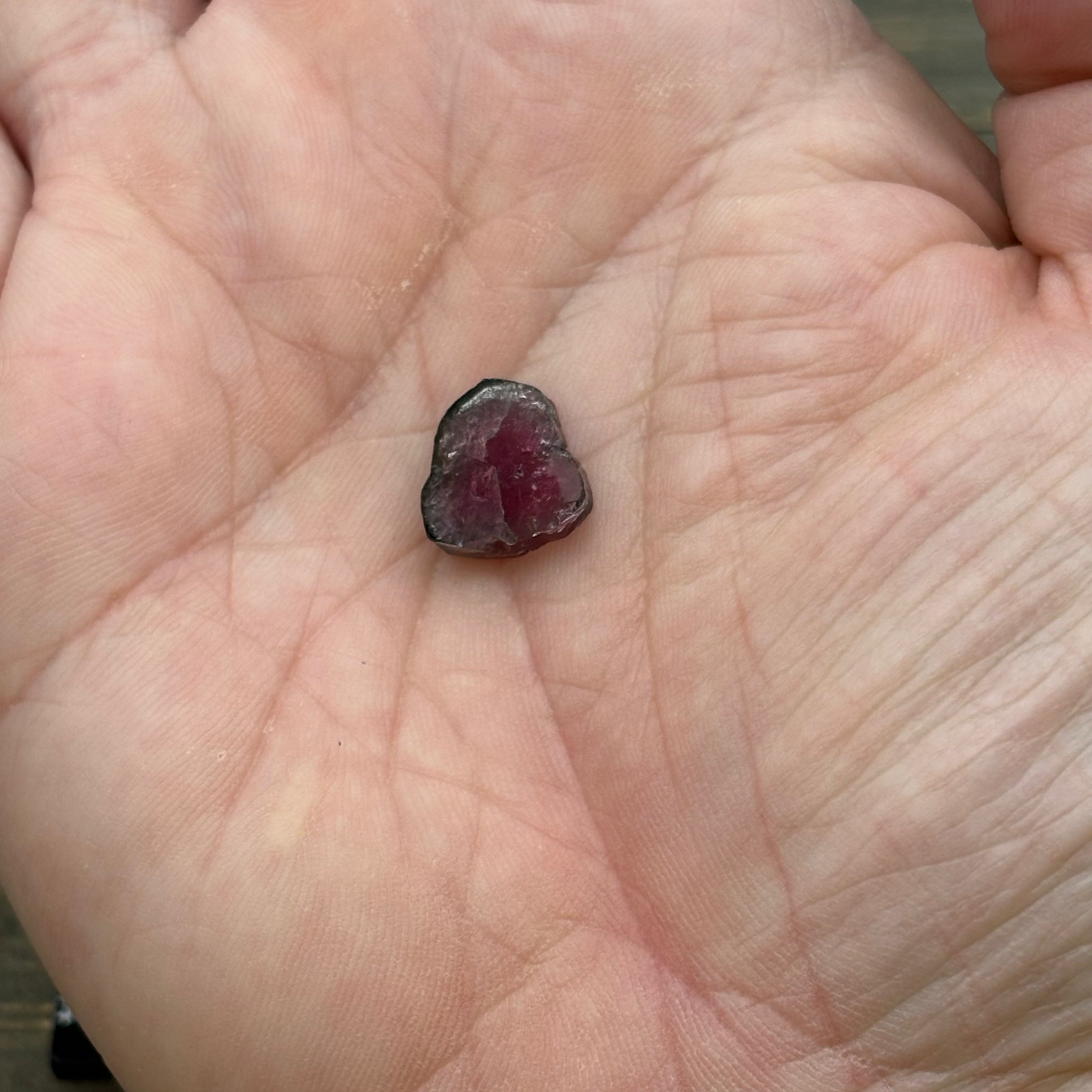 Watermelon Tourmaline Cross-Section - 063