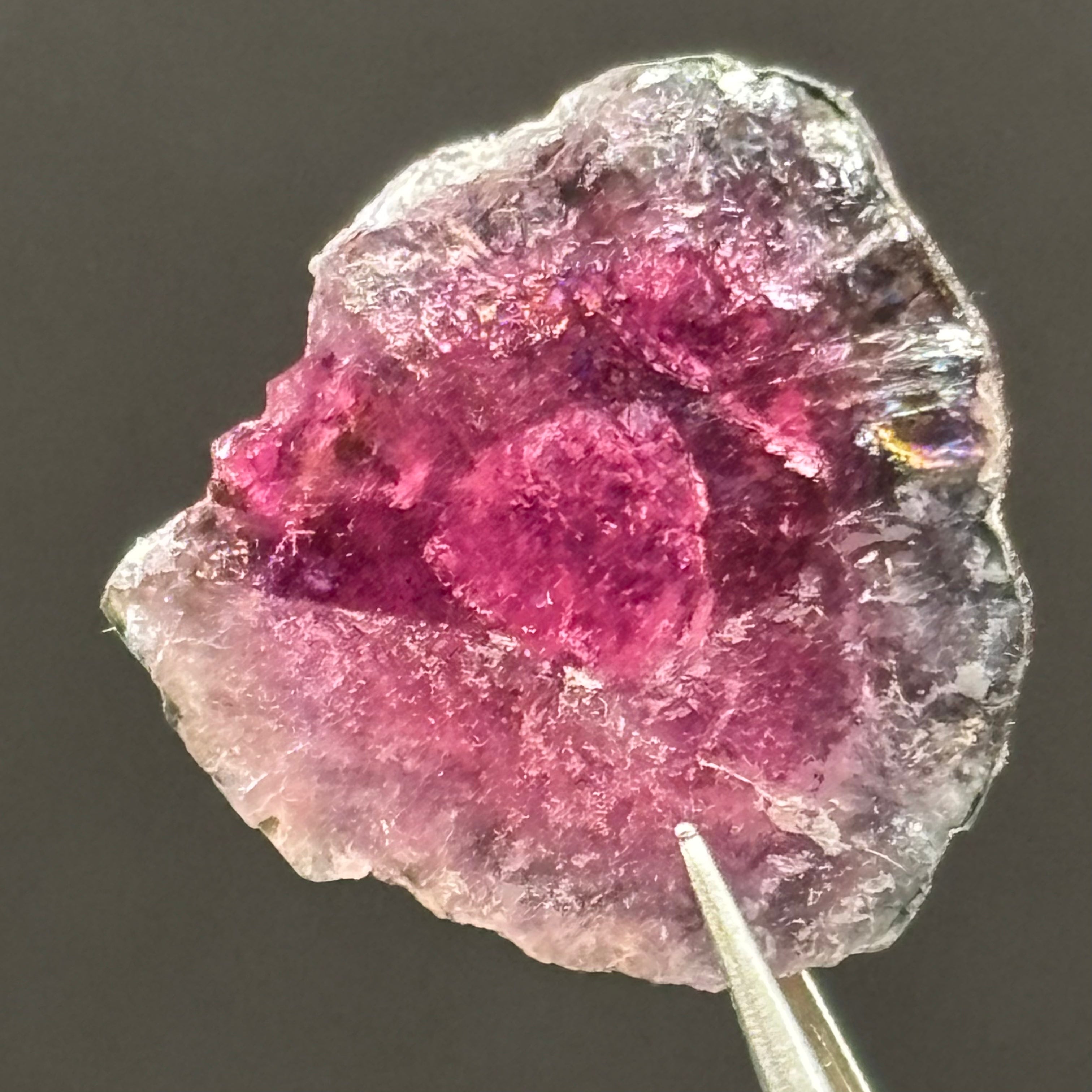 Watermelon Tourmaline Cross-Section - 064