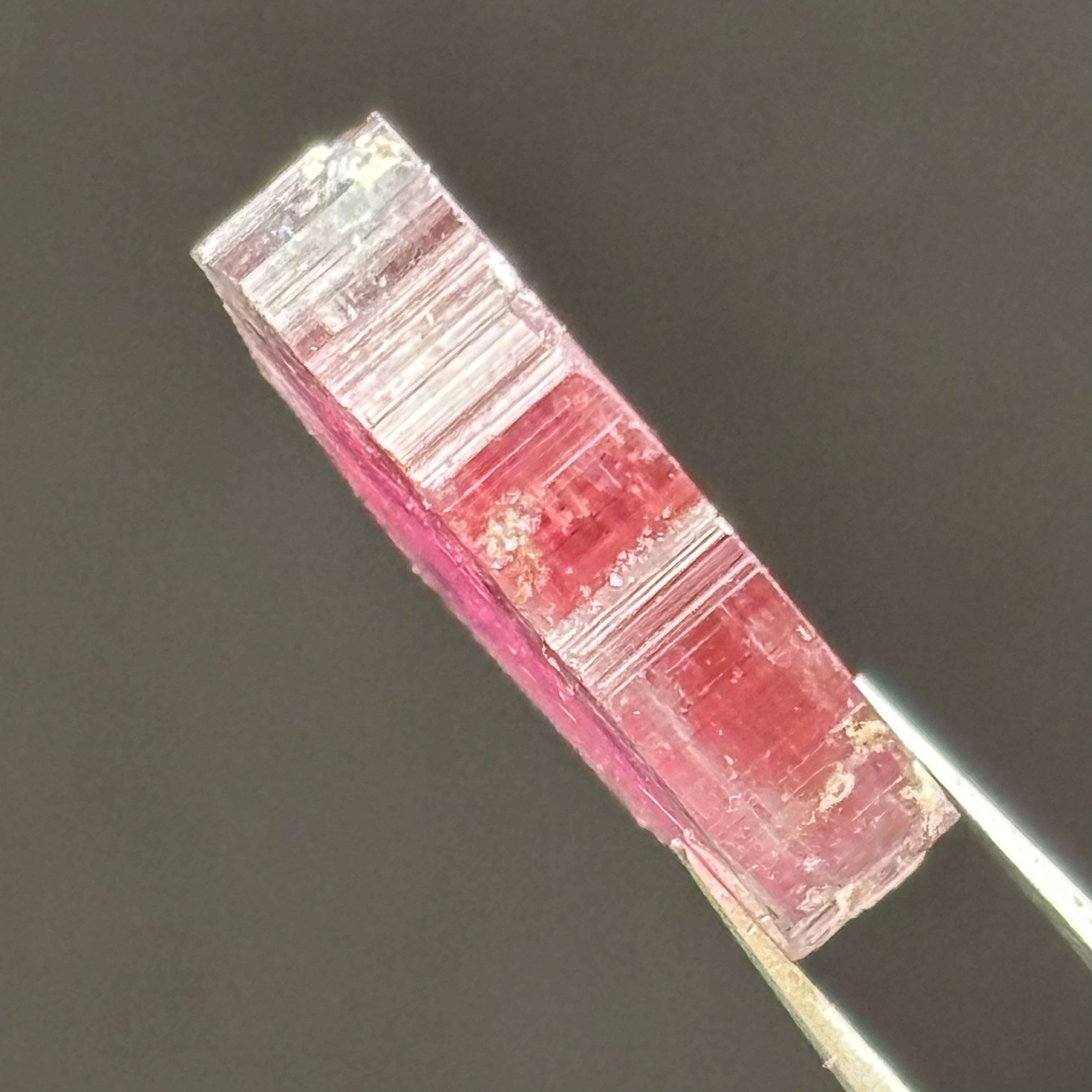 Watermelon Tourmaline Cross-Section - 064