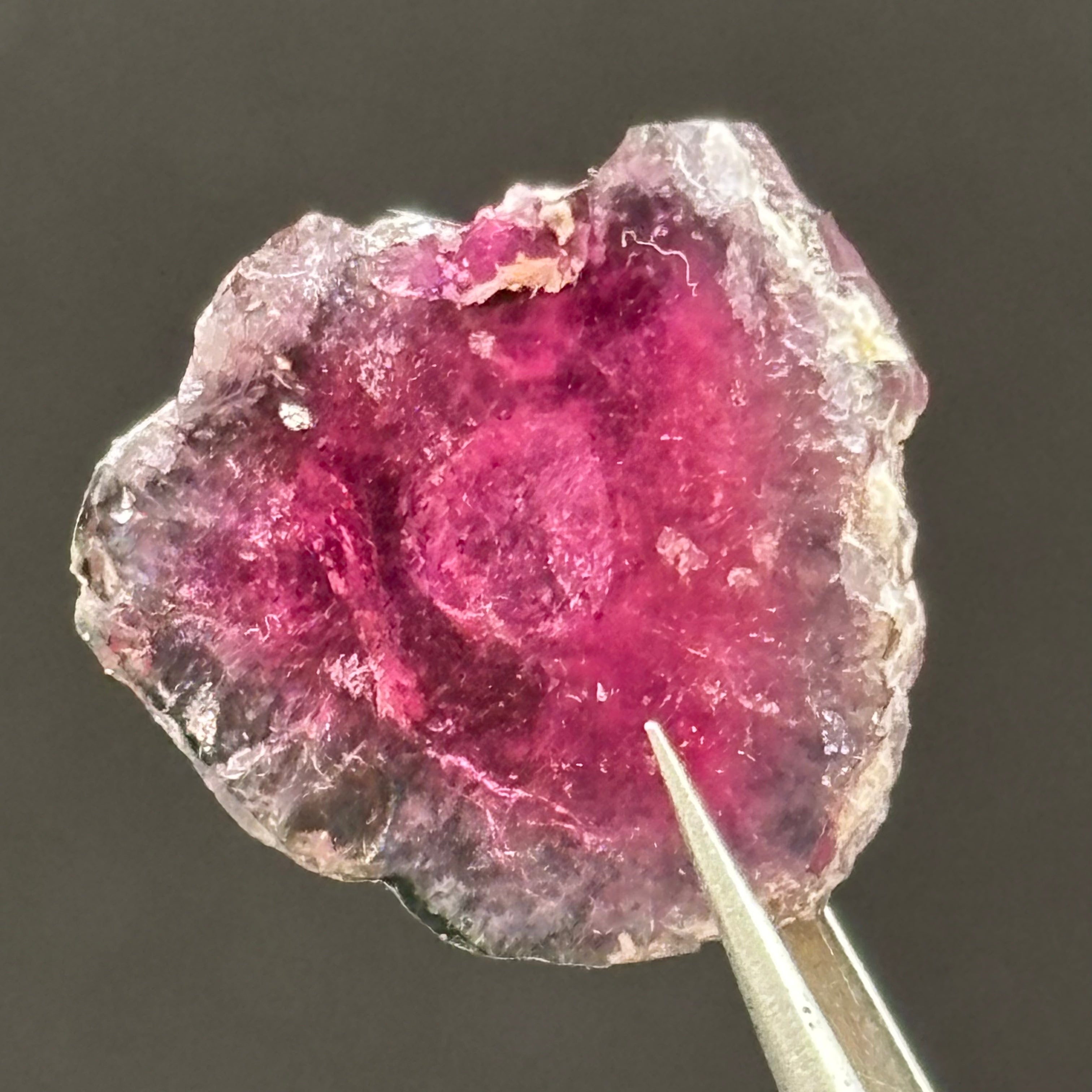 Watermelon Tourmaline Cross-Section - 064