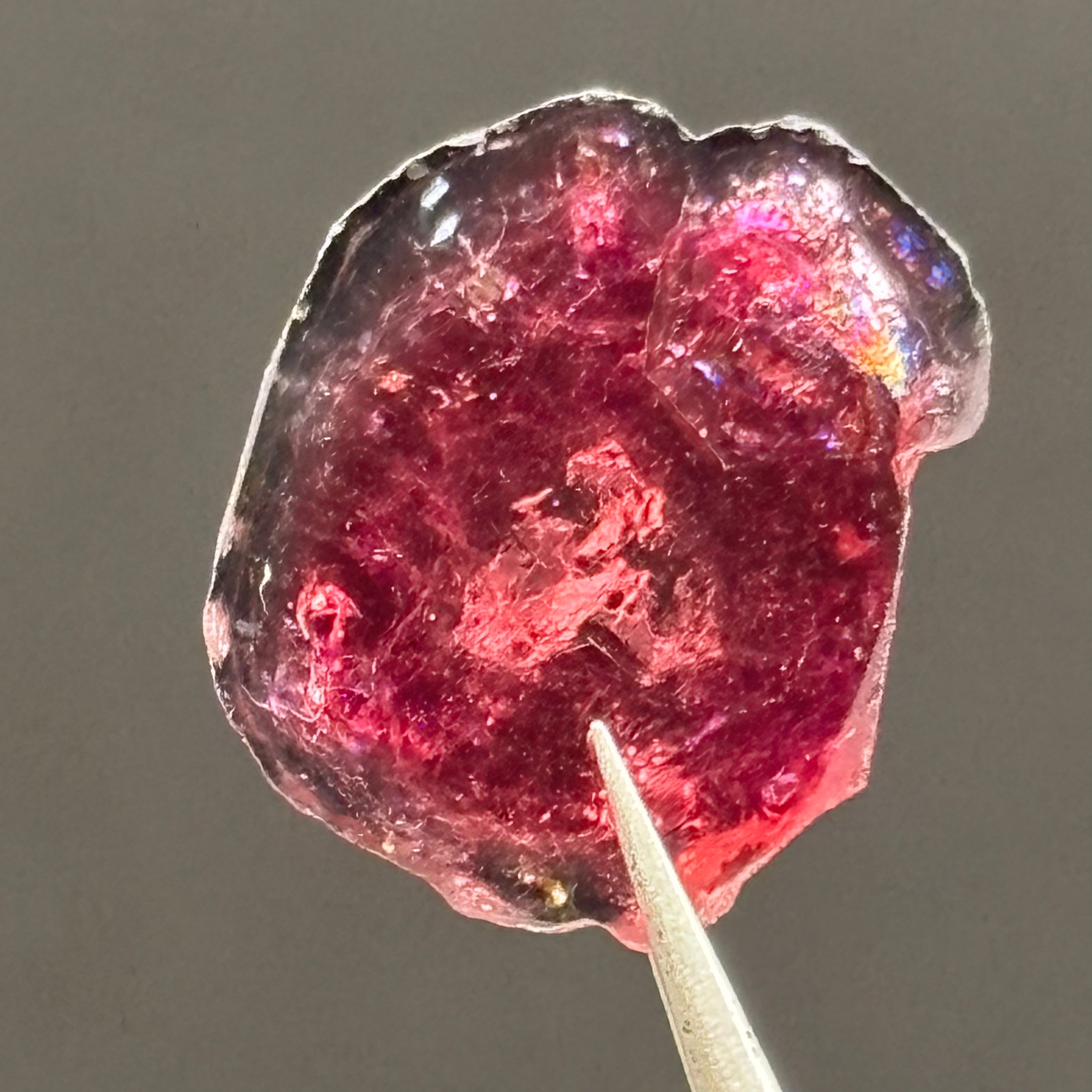Watermelon Tourmaline Cross-Section - 065