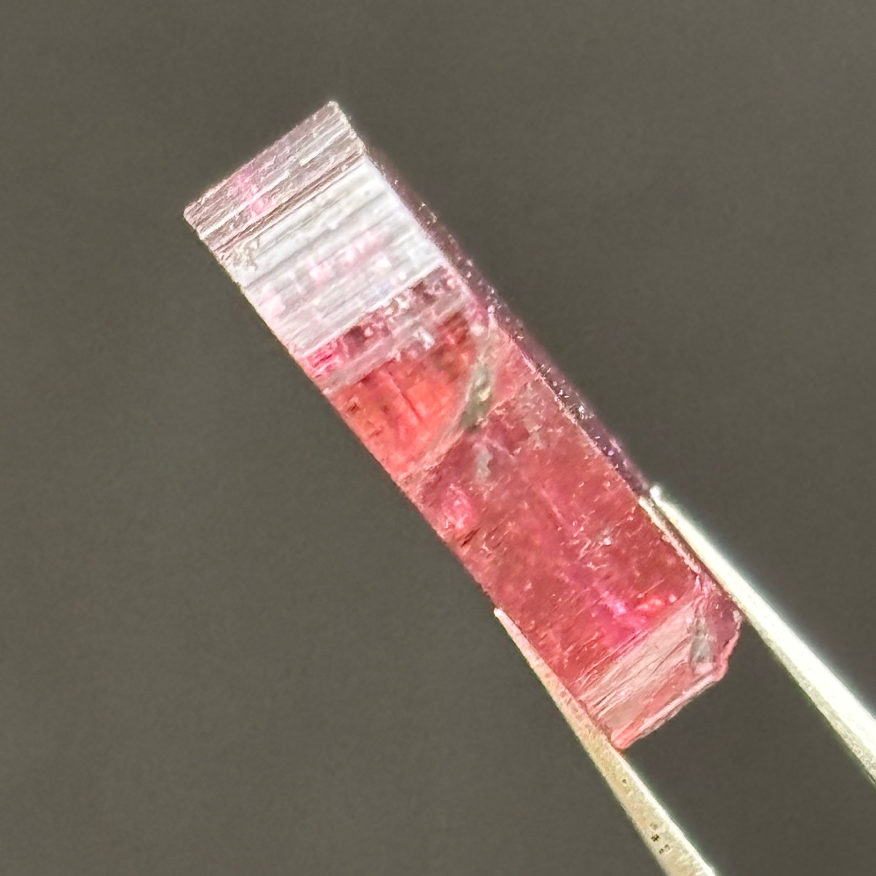 Watermelon Tourmaline Cross-Section - 065
