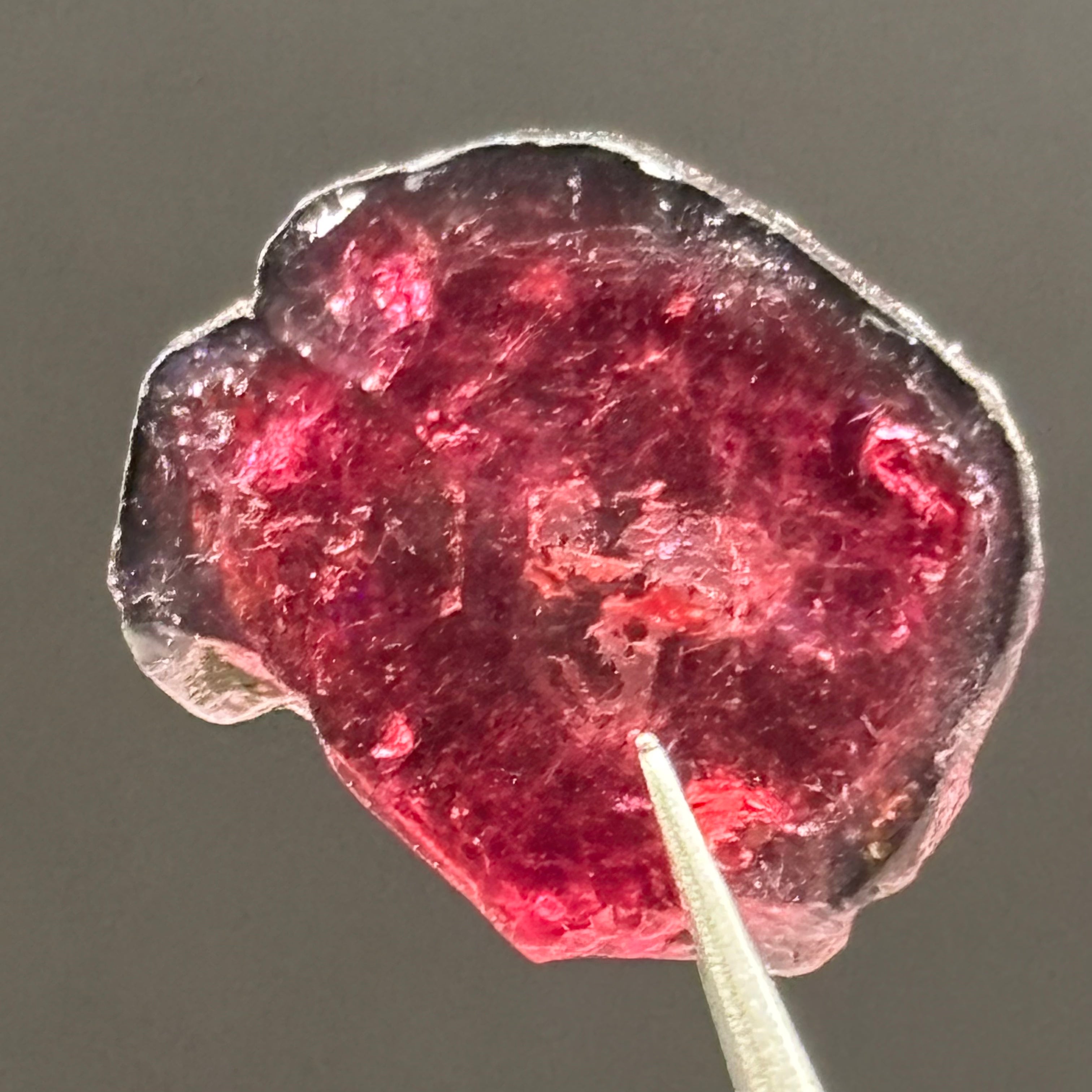 Watermelon Tourmaline Cross-Section - 065