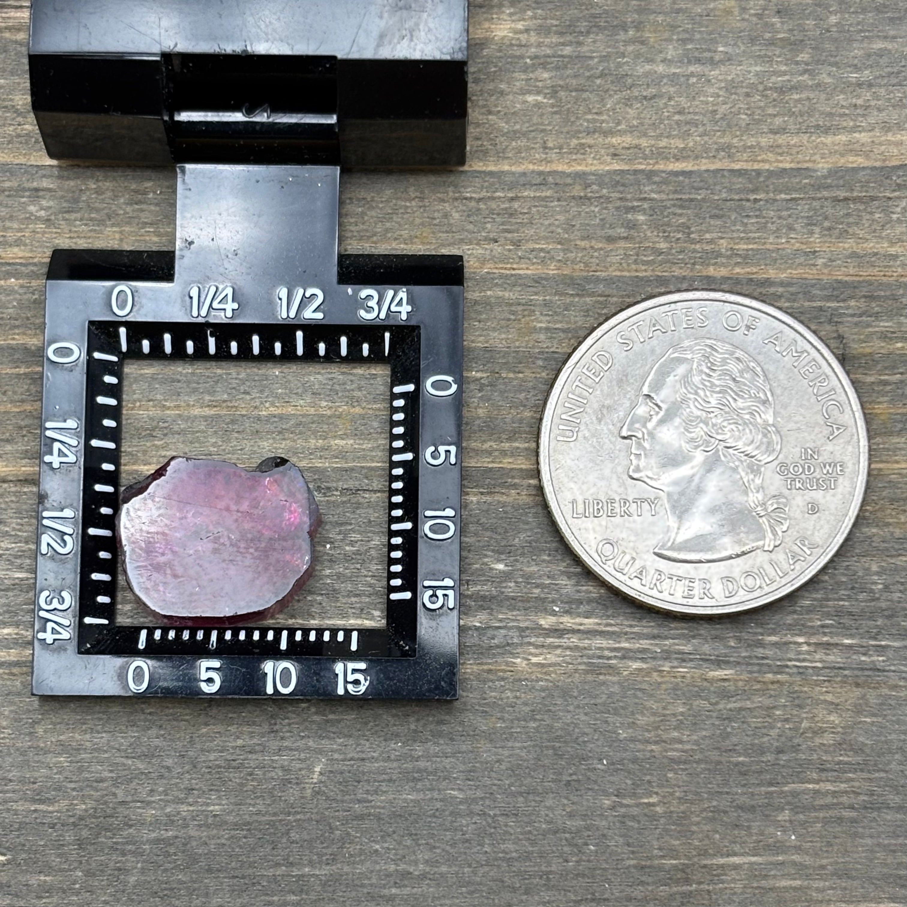 Watermelon Tourmaline Cross-Section - 065