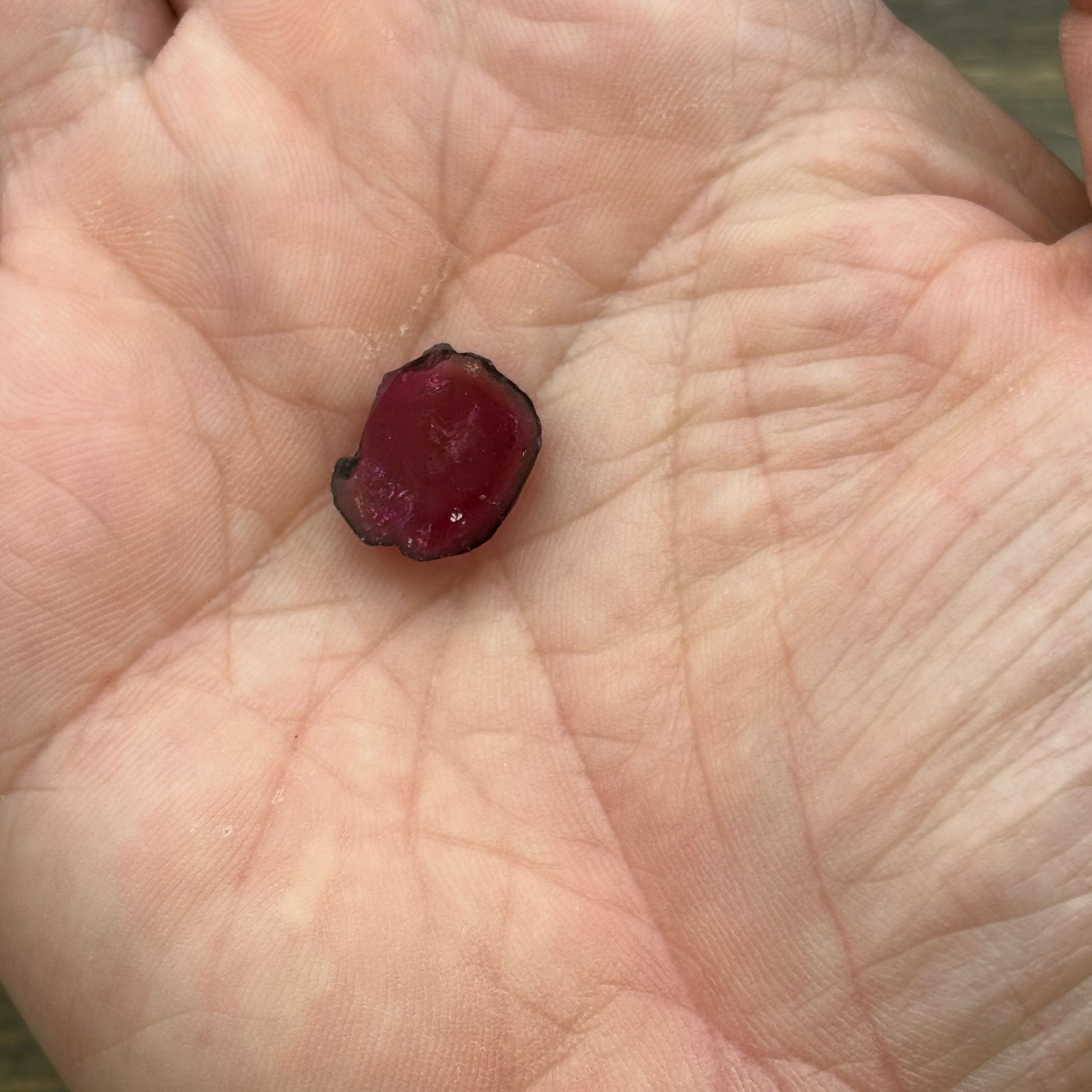 Watermelon Tourmaline Cross-Section - 065