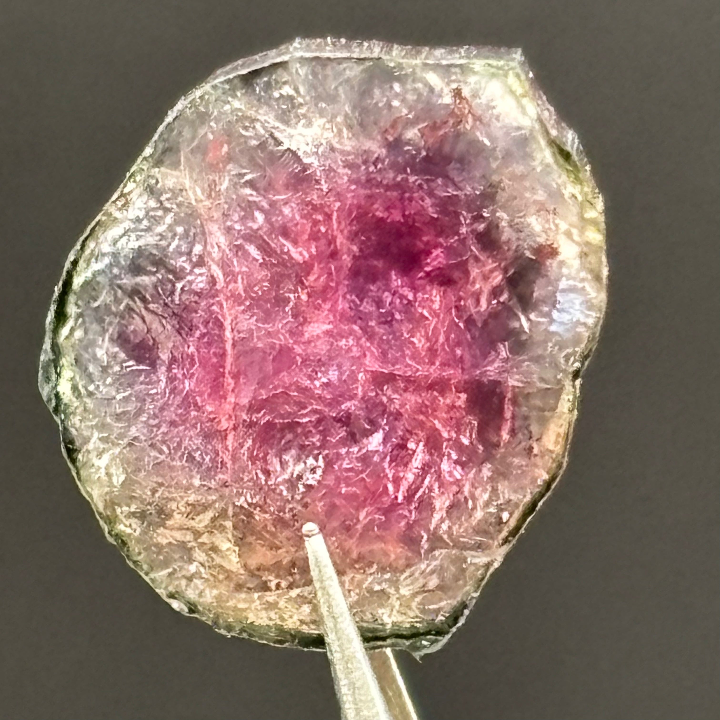 Watermelon Tourmaline Cross-Section - 066