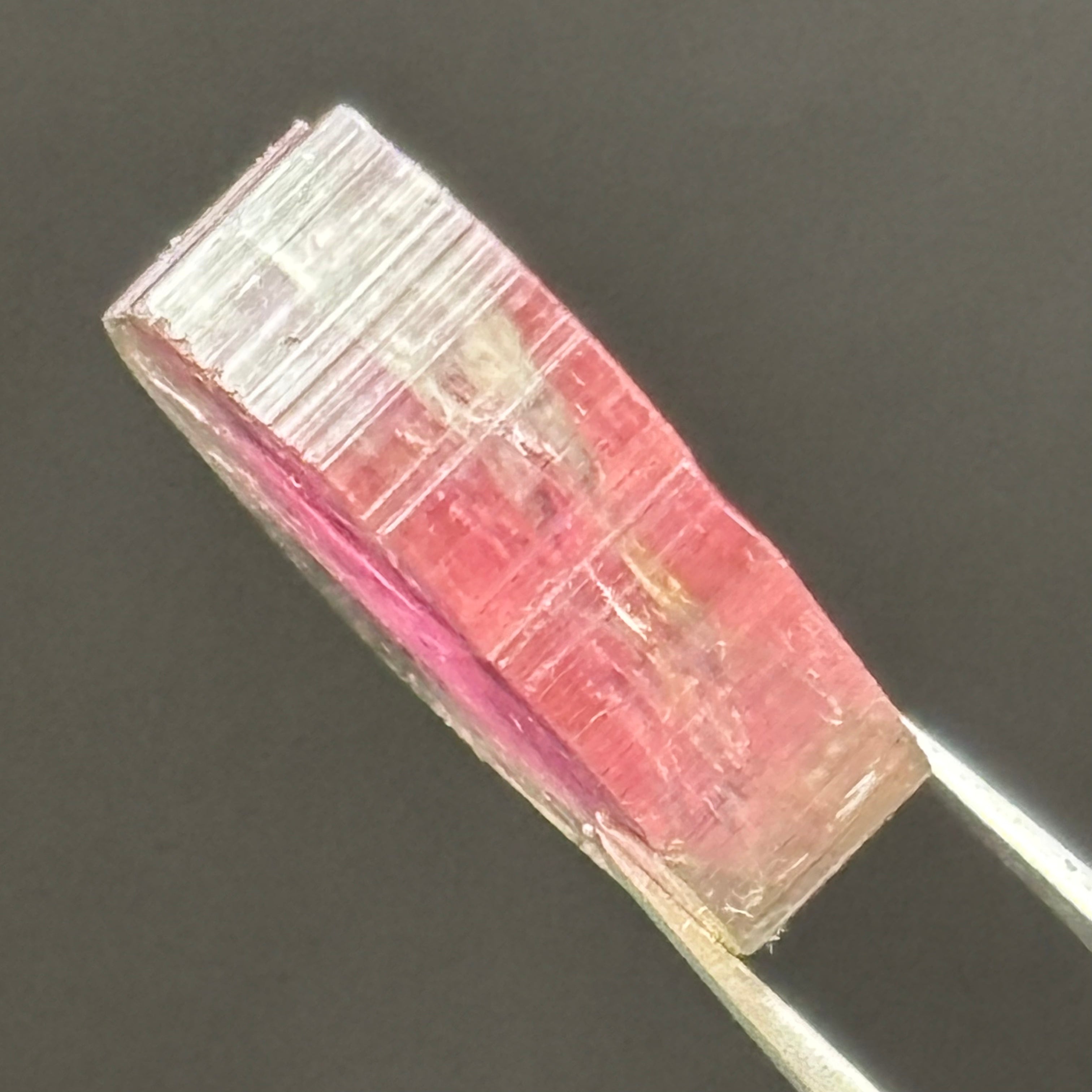 Watermelon Tourmaline Cross-Section - 066