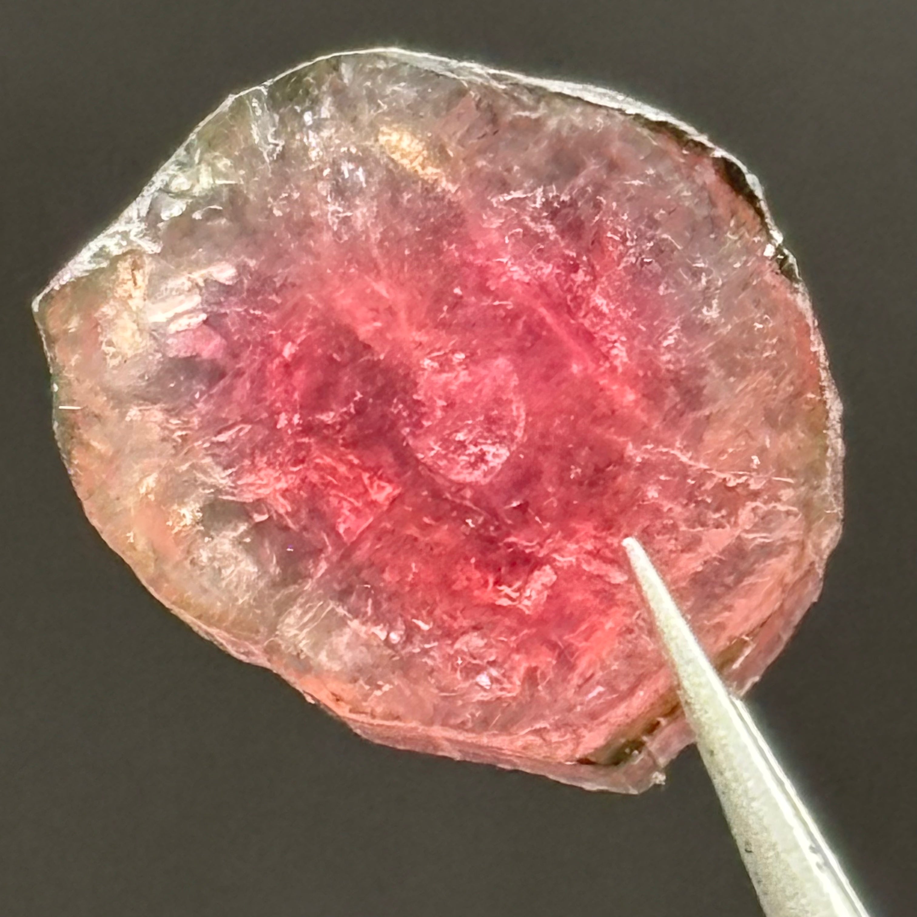 Watermelon Tourmaline Cross-Section - 066