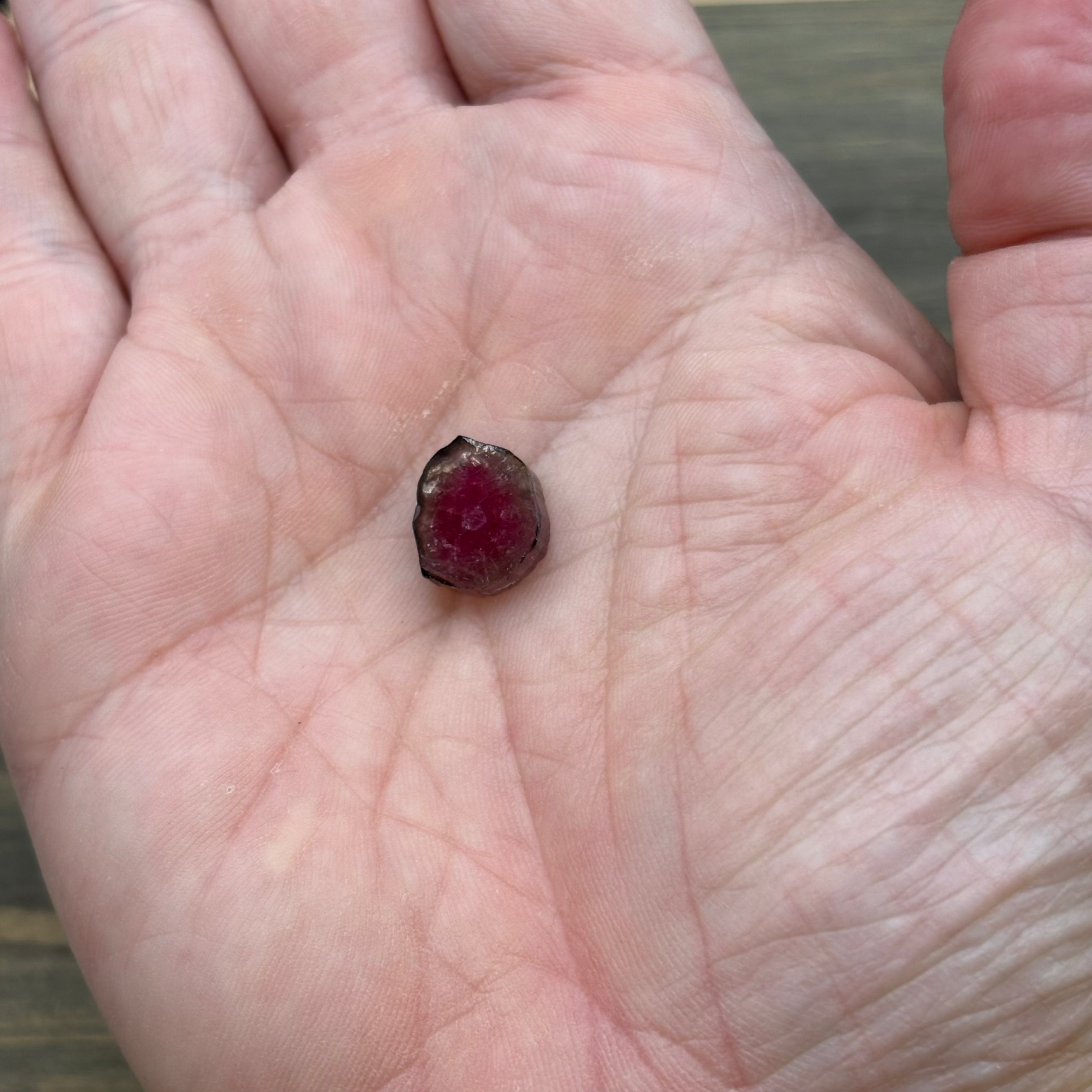 Watermelon Tourmaline Cross-Section - 066