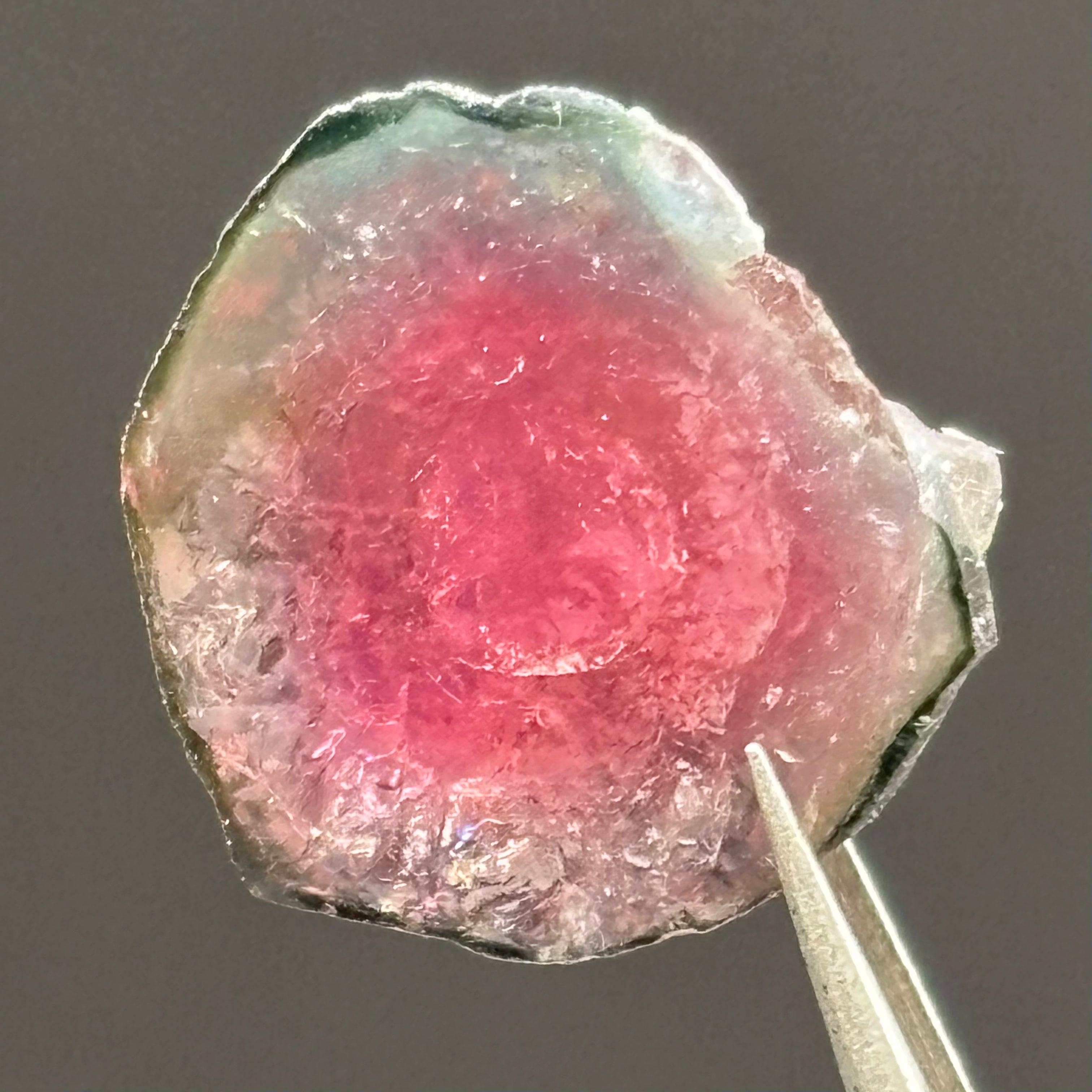 Watermelon Tourmaline Cross-Section - 067