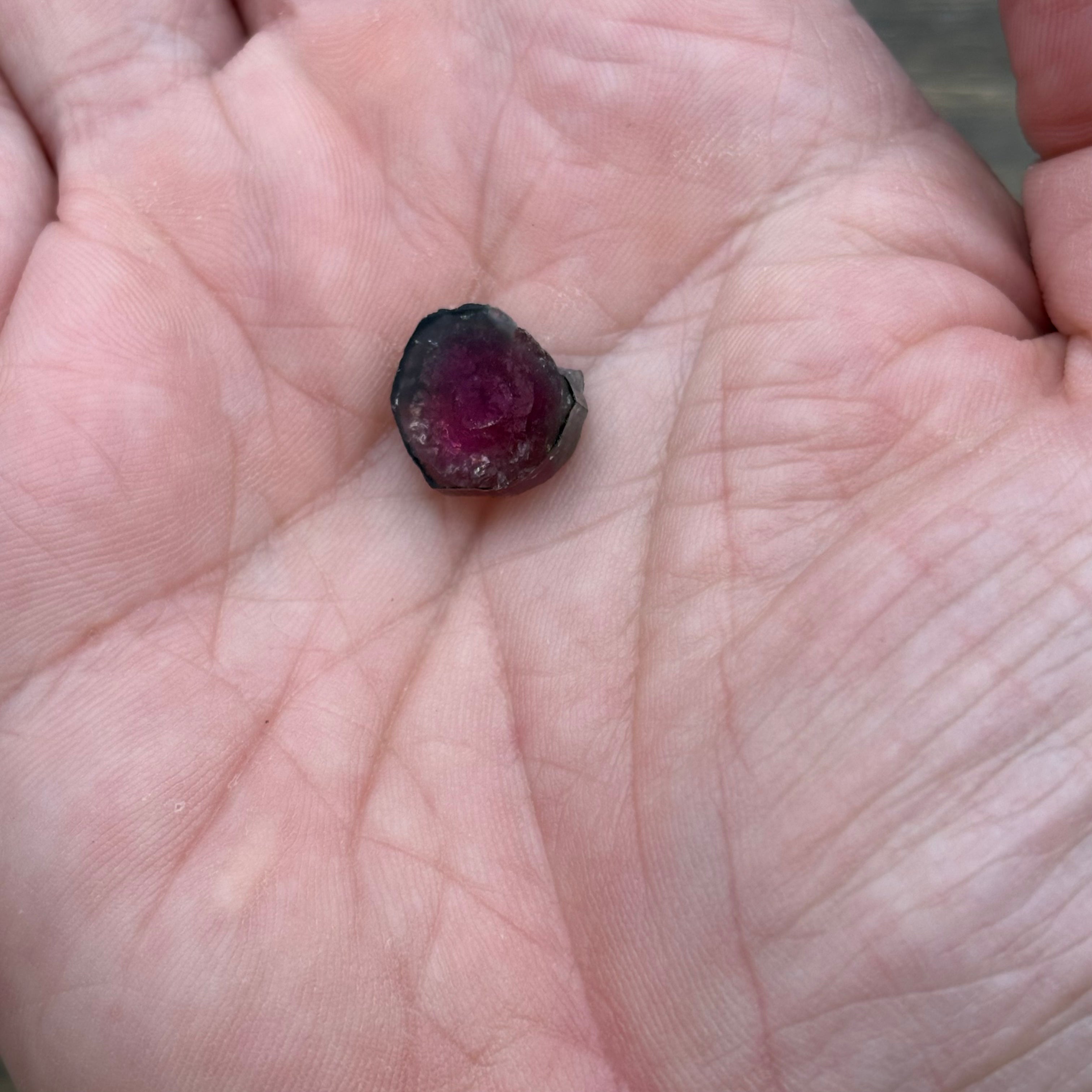 Watermelon Tourmaline Cross-Section - 067