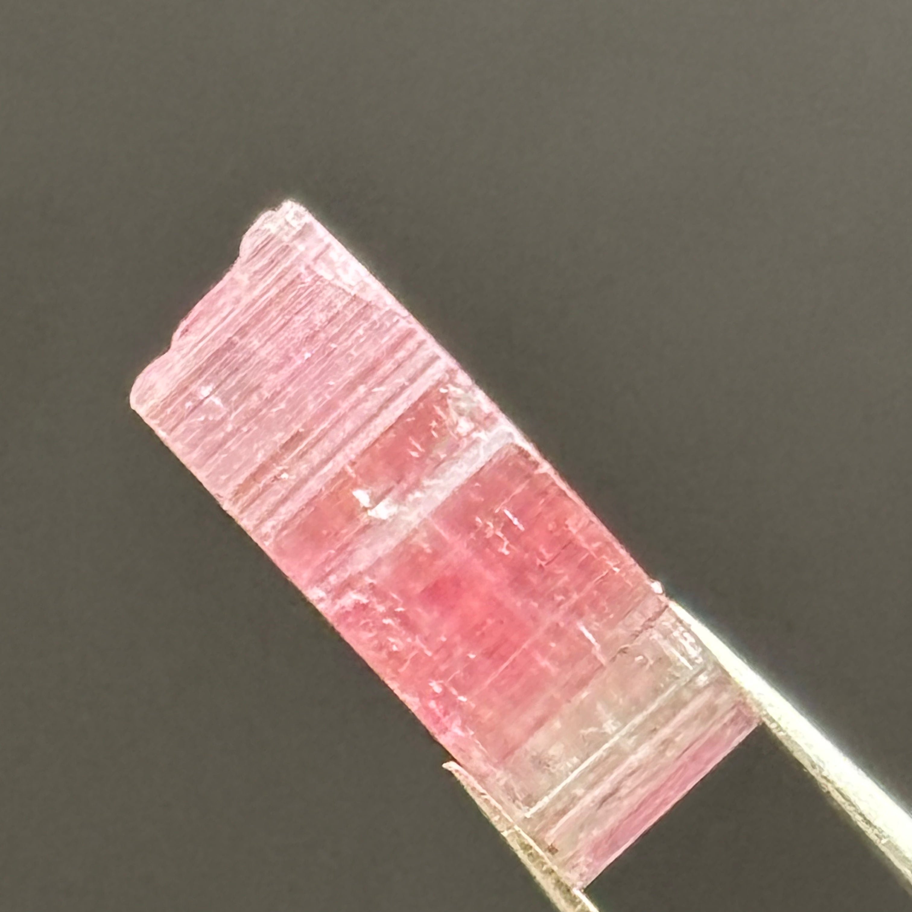 Watermelon Tourmaline Cross-Section - 068