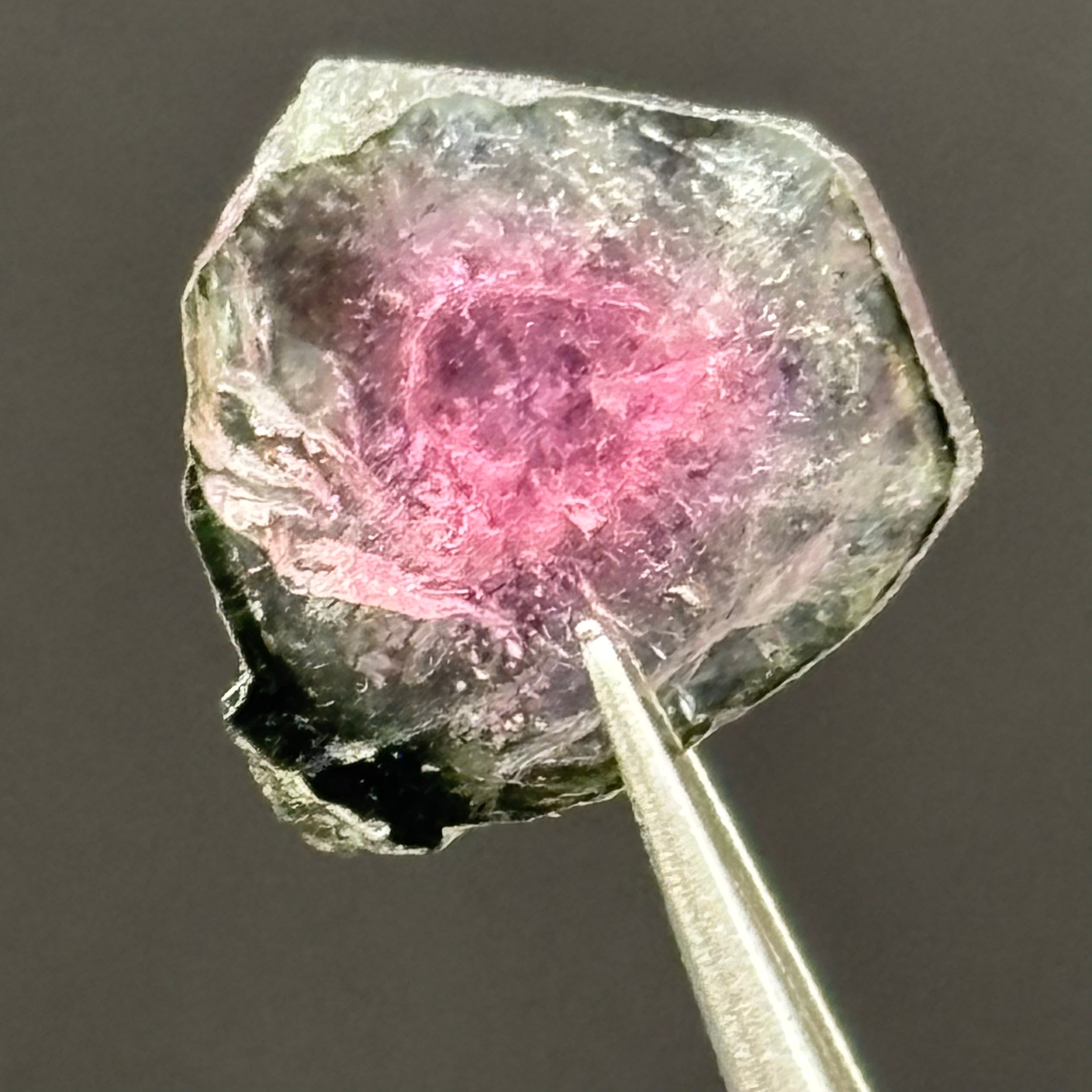 Watermelon Tourmaline Cross-Section - 069