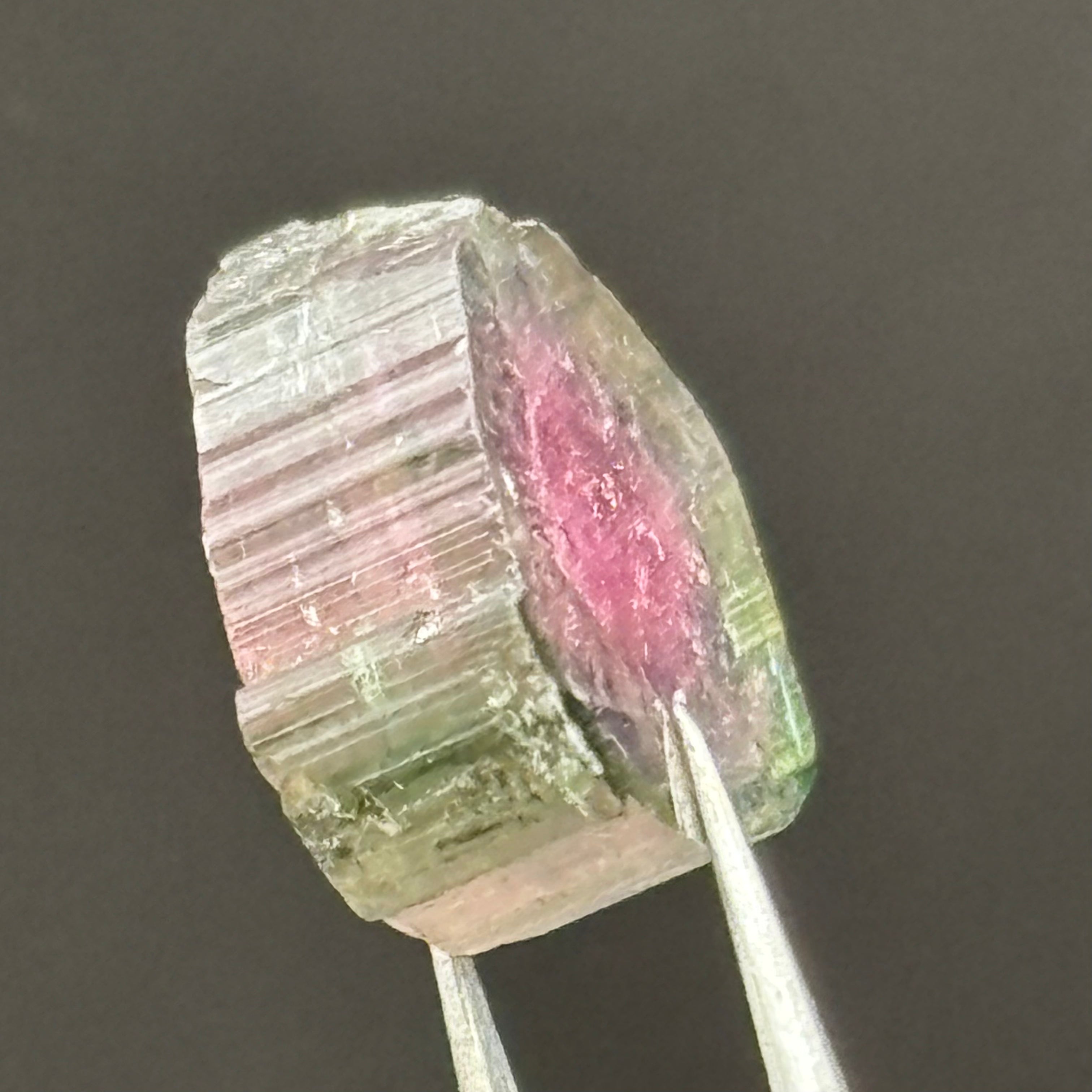 Watermelon Tourmaline Cross-Section - 069