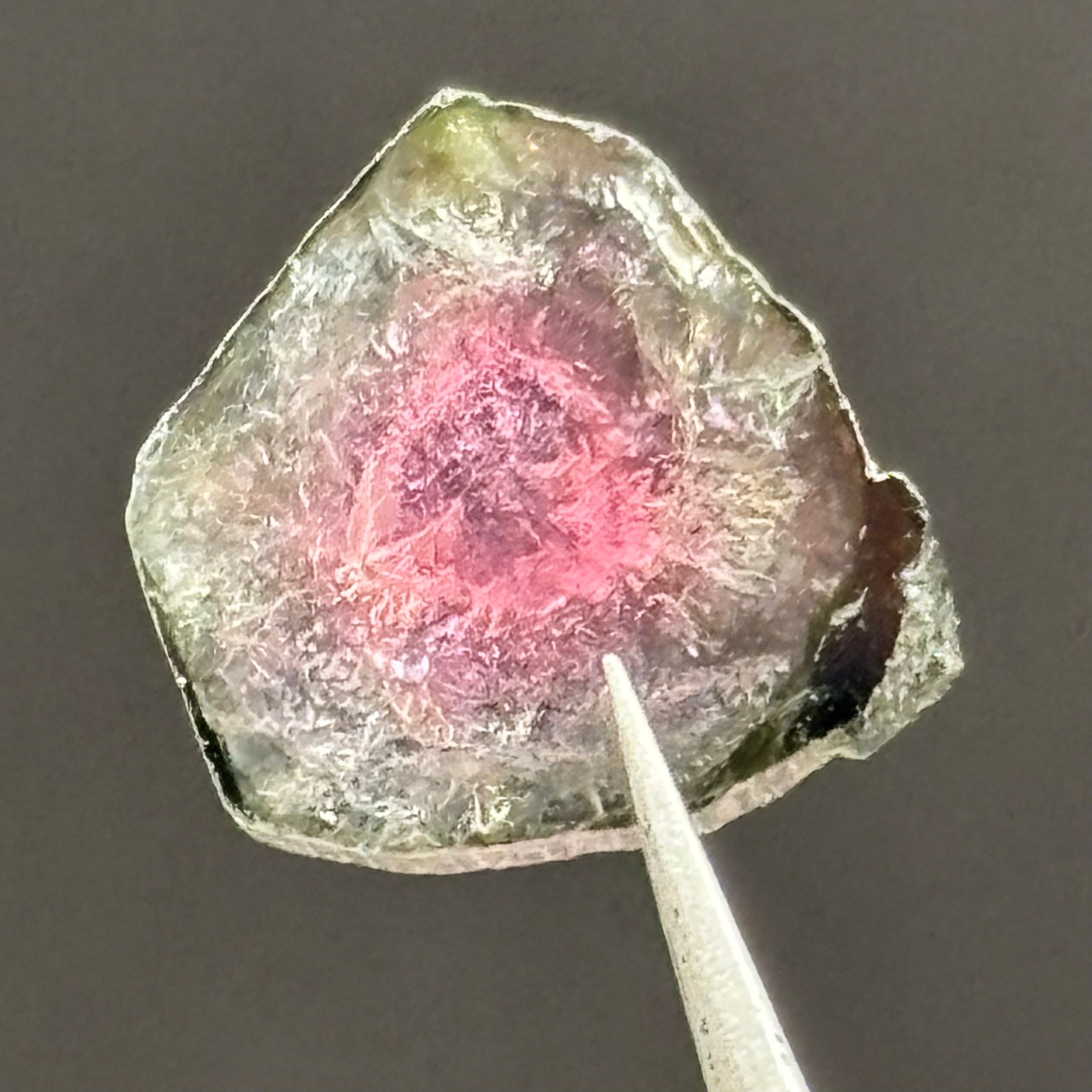 Watermelon Tourmaline Cross-Section - 069