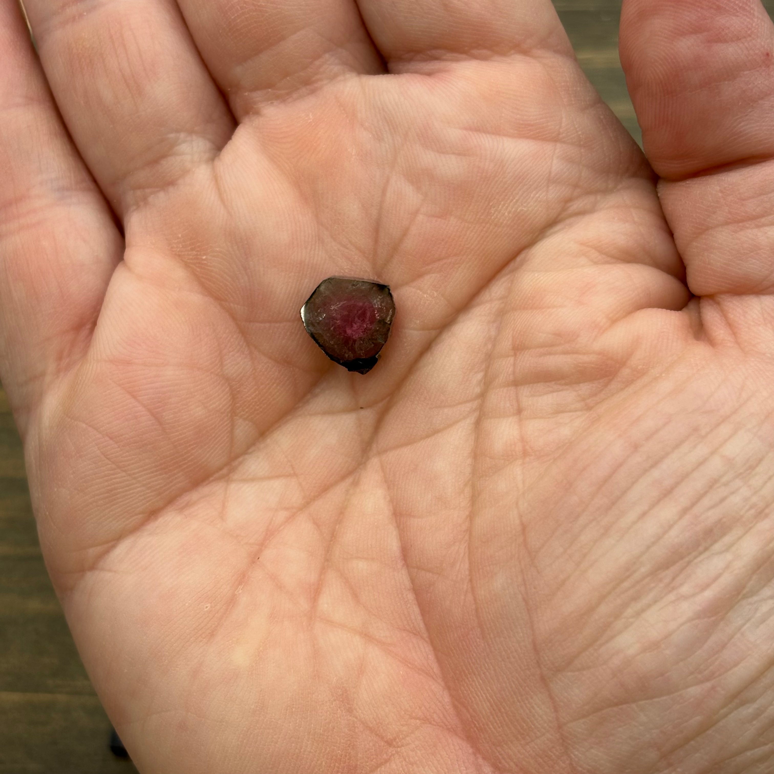 Watermelon Tourmaline Cross-Section - 069