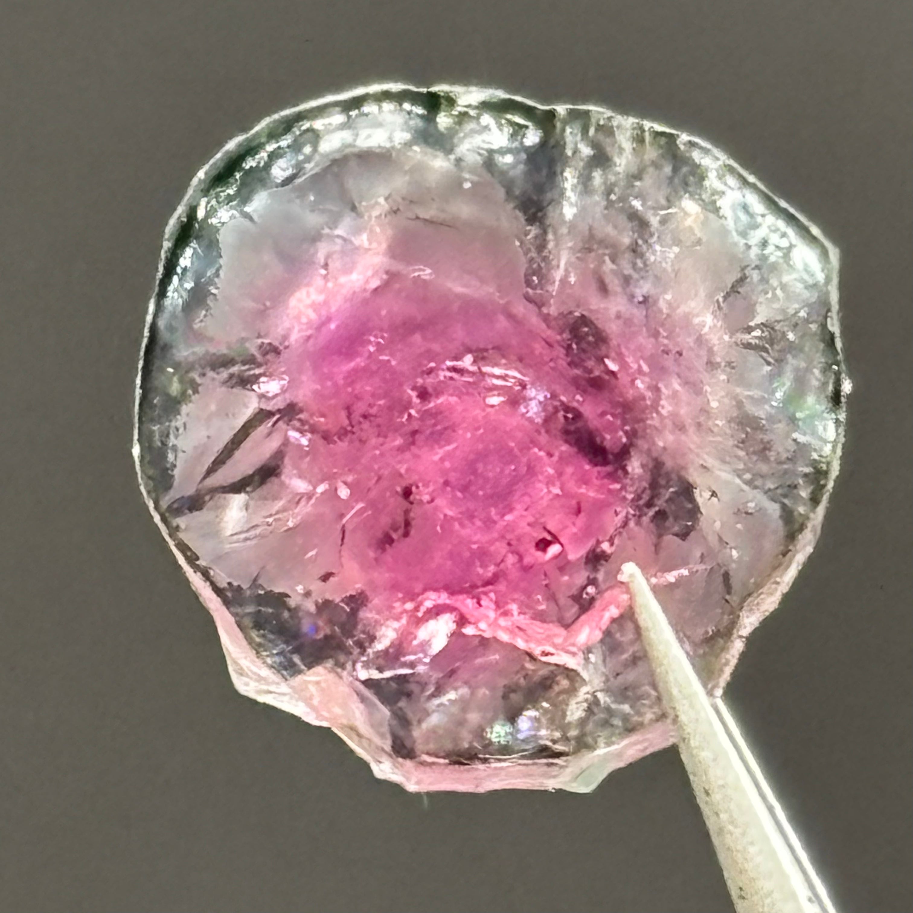Watermelon Tourmaline Cross-Section - 070