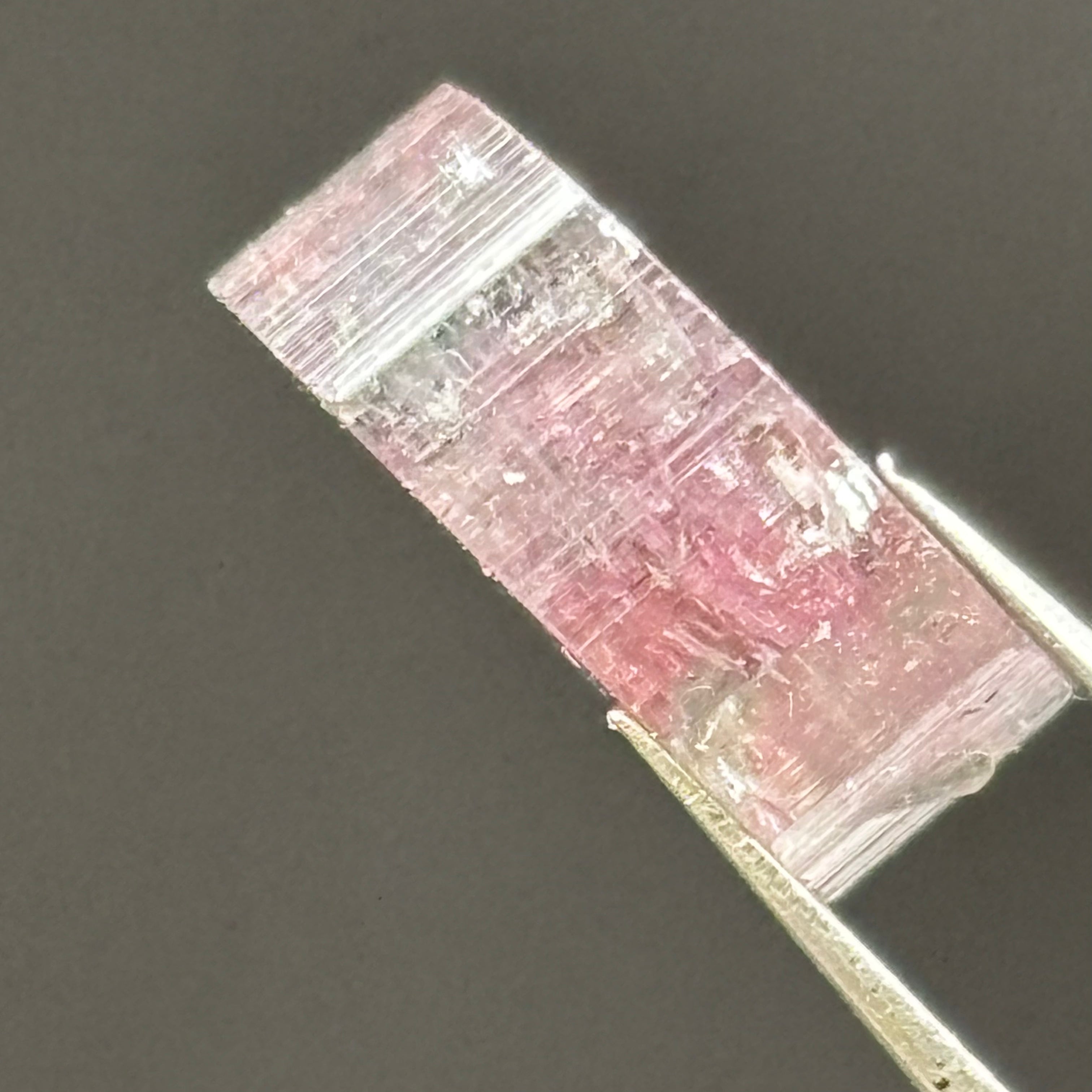 Watermelon Tourmaline Cross-Section - 070