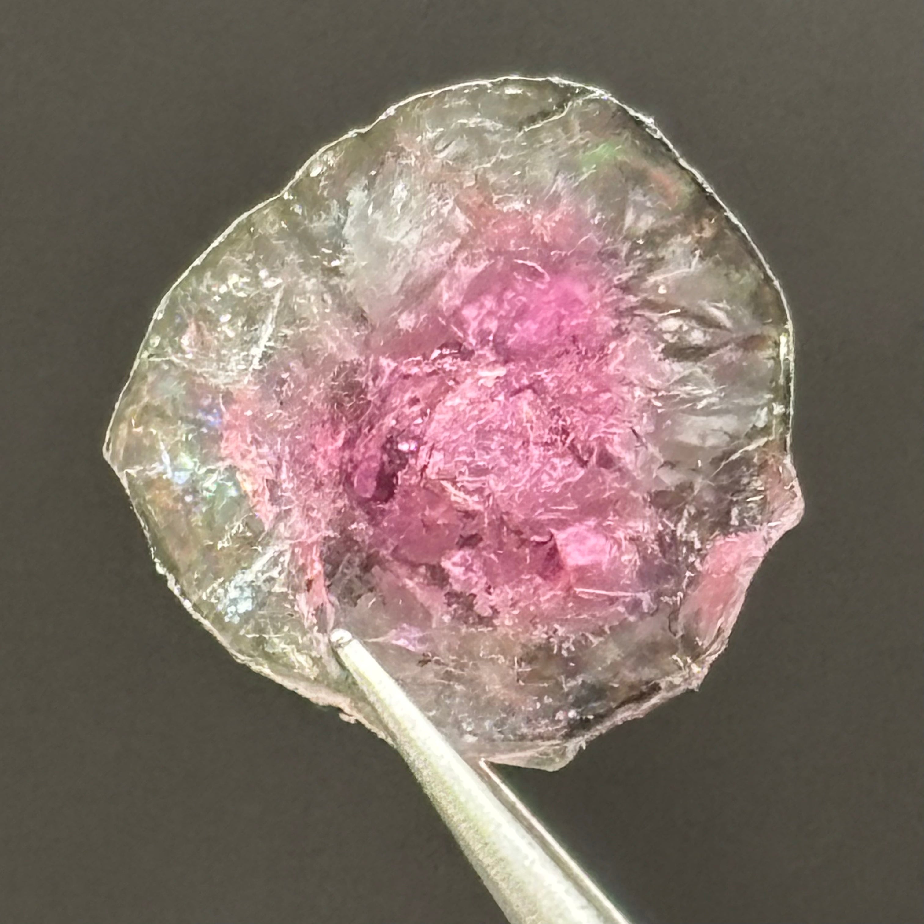 Watermelon Tourmaline Cross-Section - 070