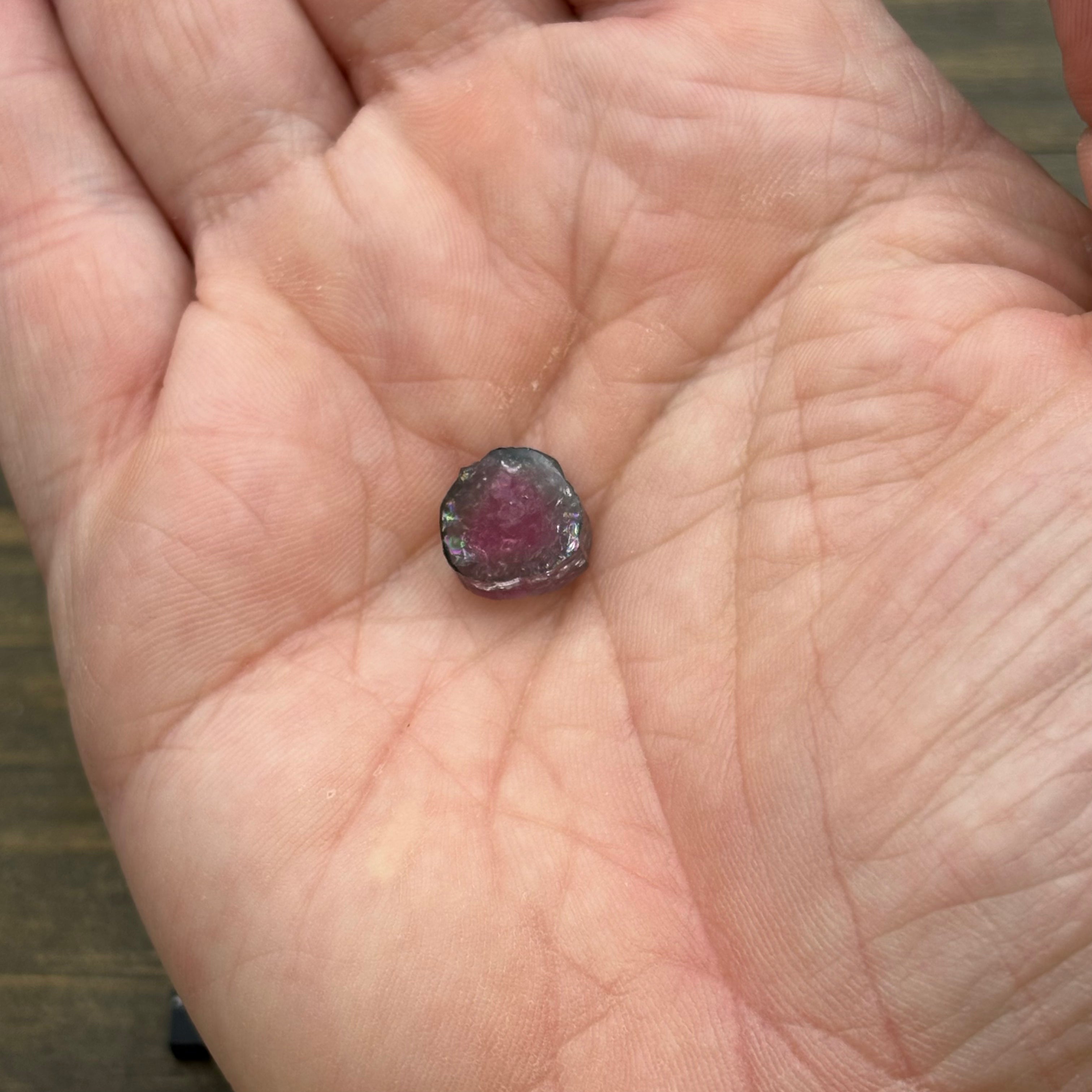 Watermelon Tourmaline Cross-Section - 070