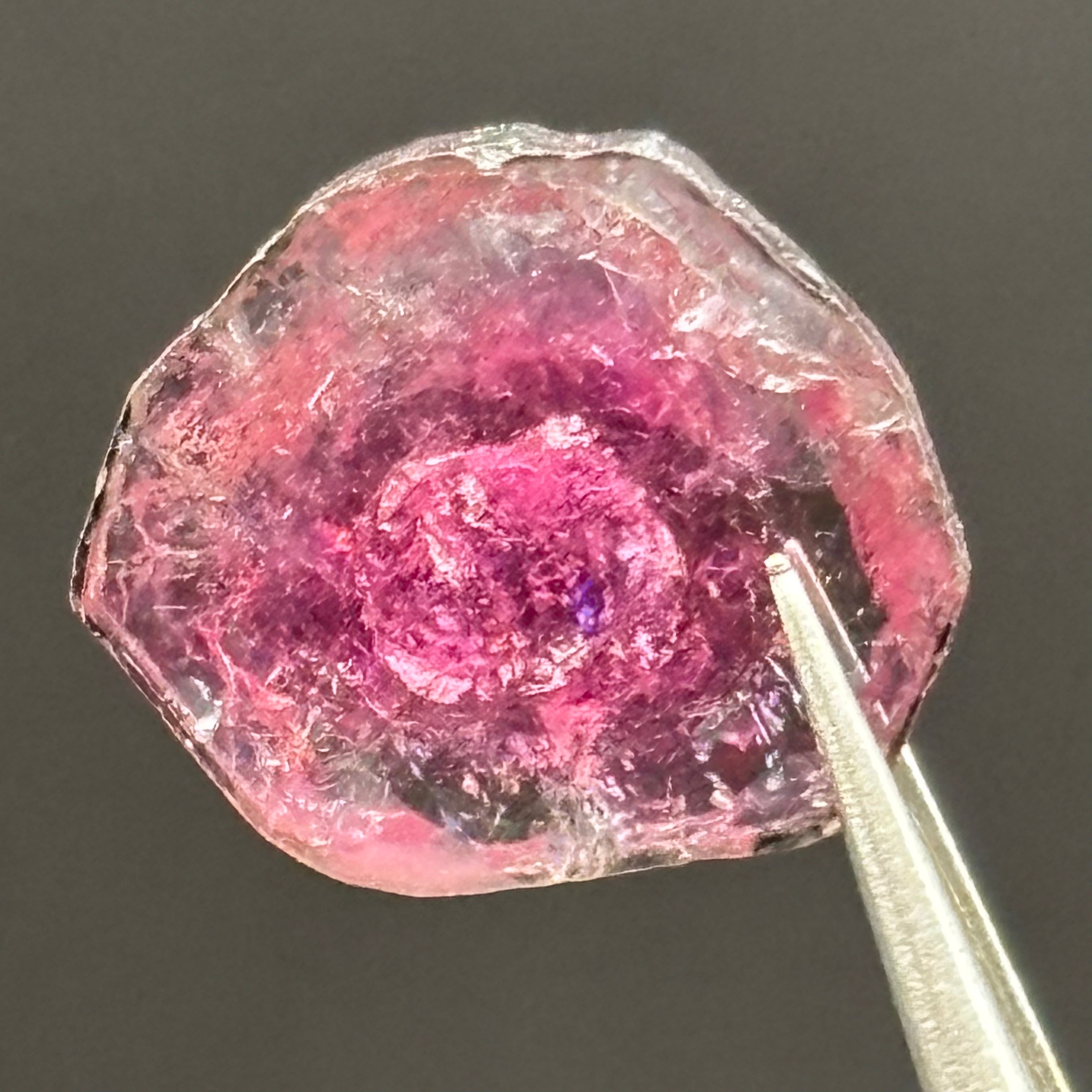 Watermelon Tourmaline Cross-Section - 071