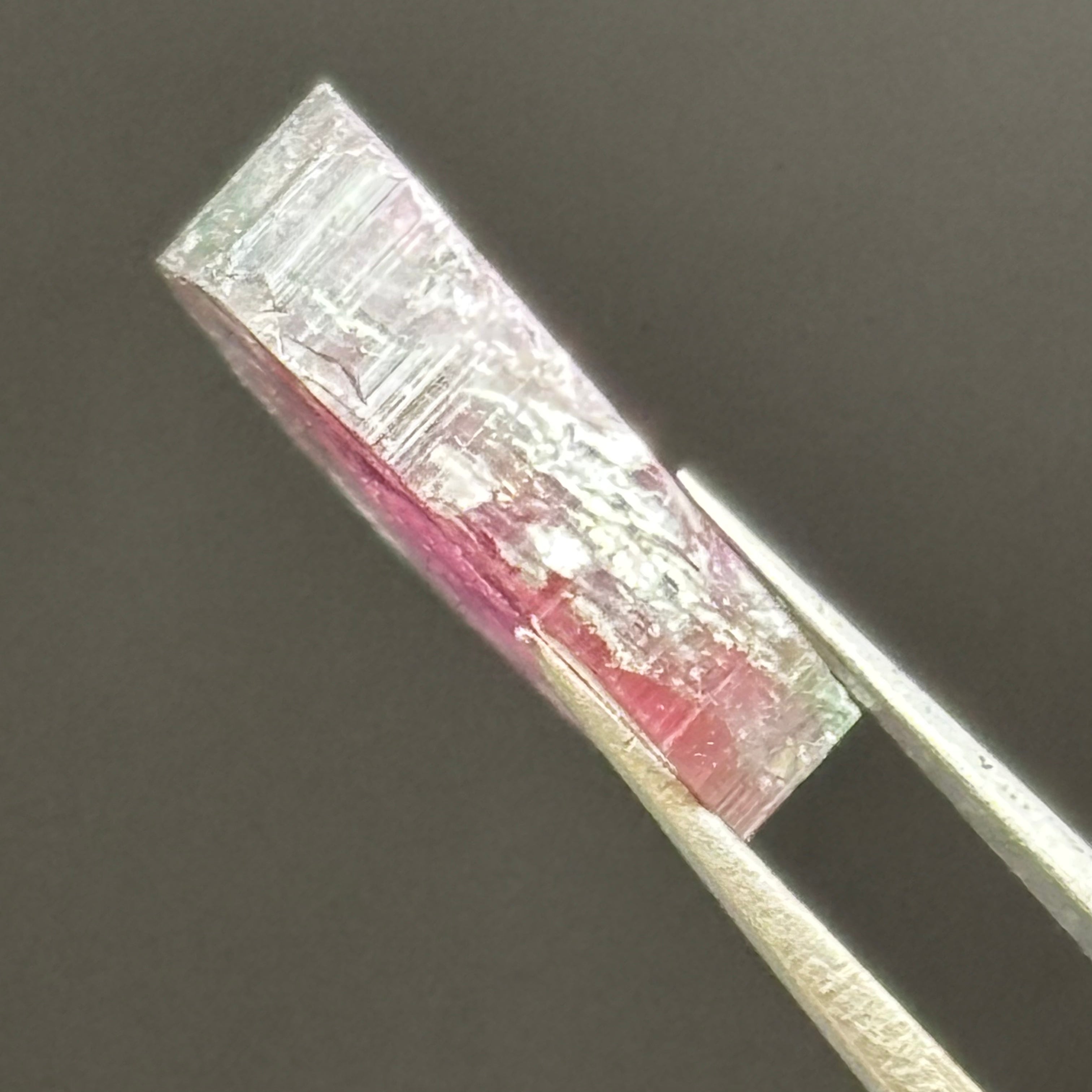 Watermelon Tourmaline Cross-Section - 071
