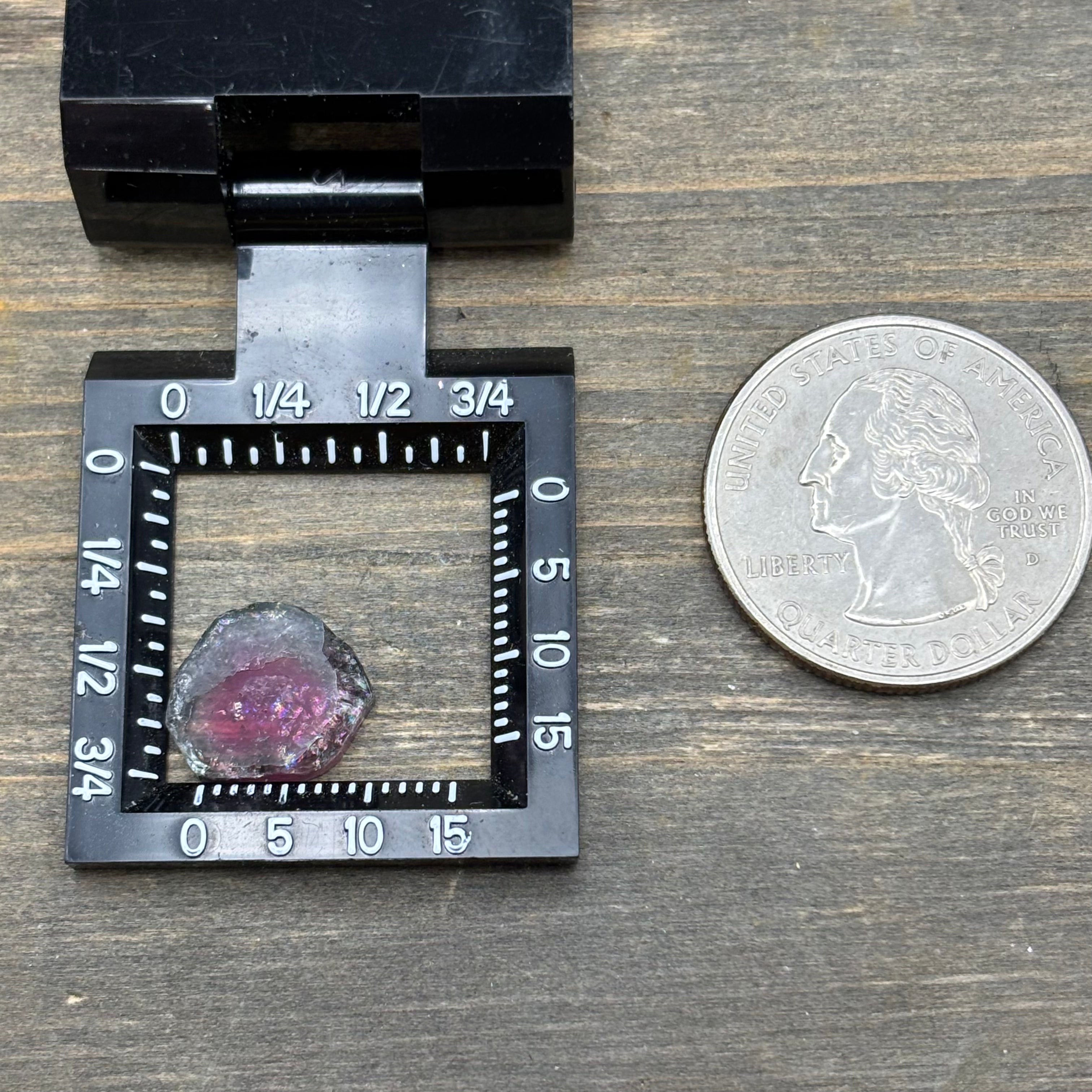 Watermelon Tourmaline Cross-Section - 071