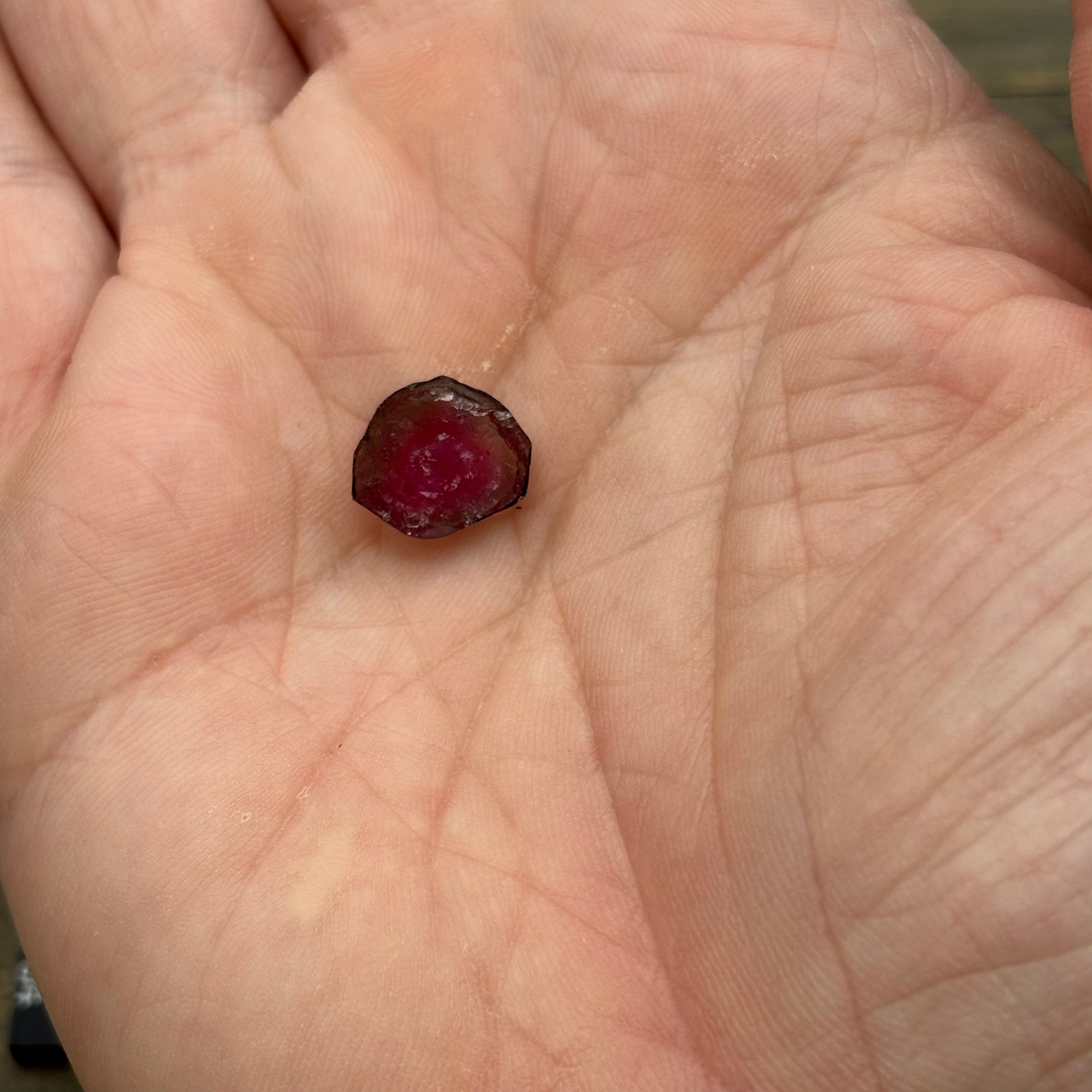 Watermelon Tourmaline Cross-Section - 071