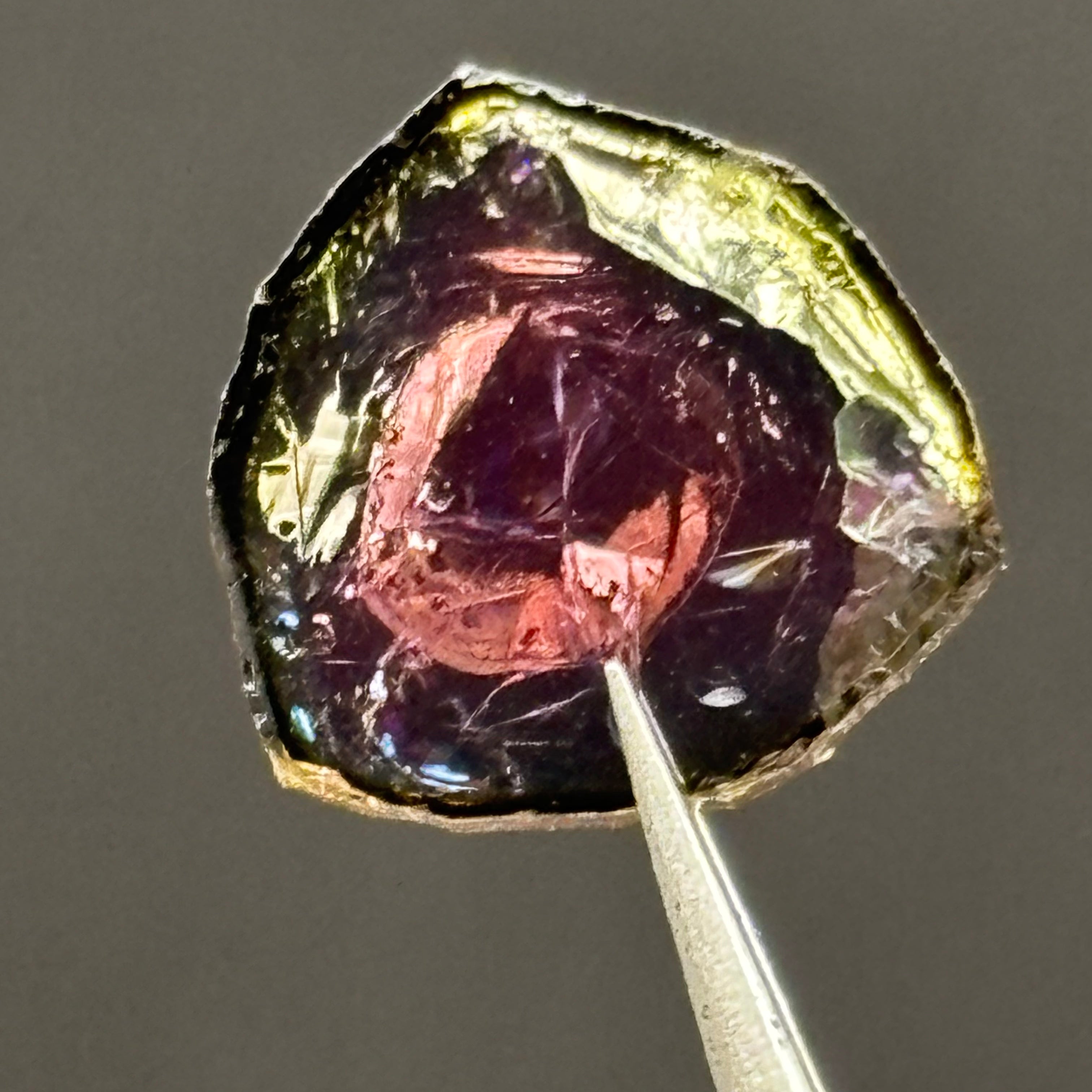 Watermelon Tourmaline Cross-Section - 072