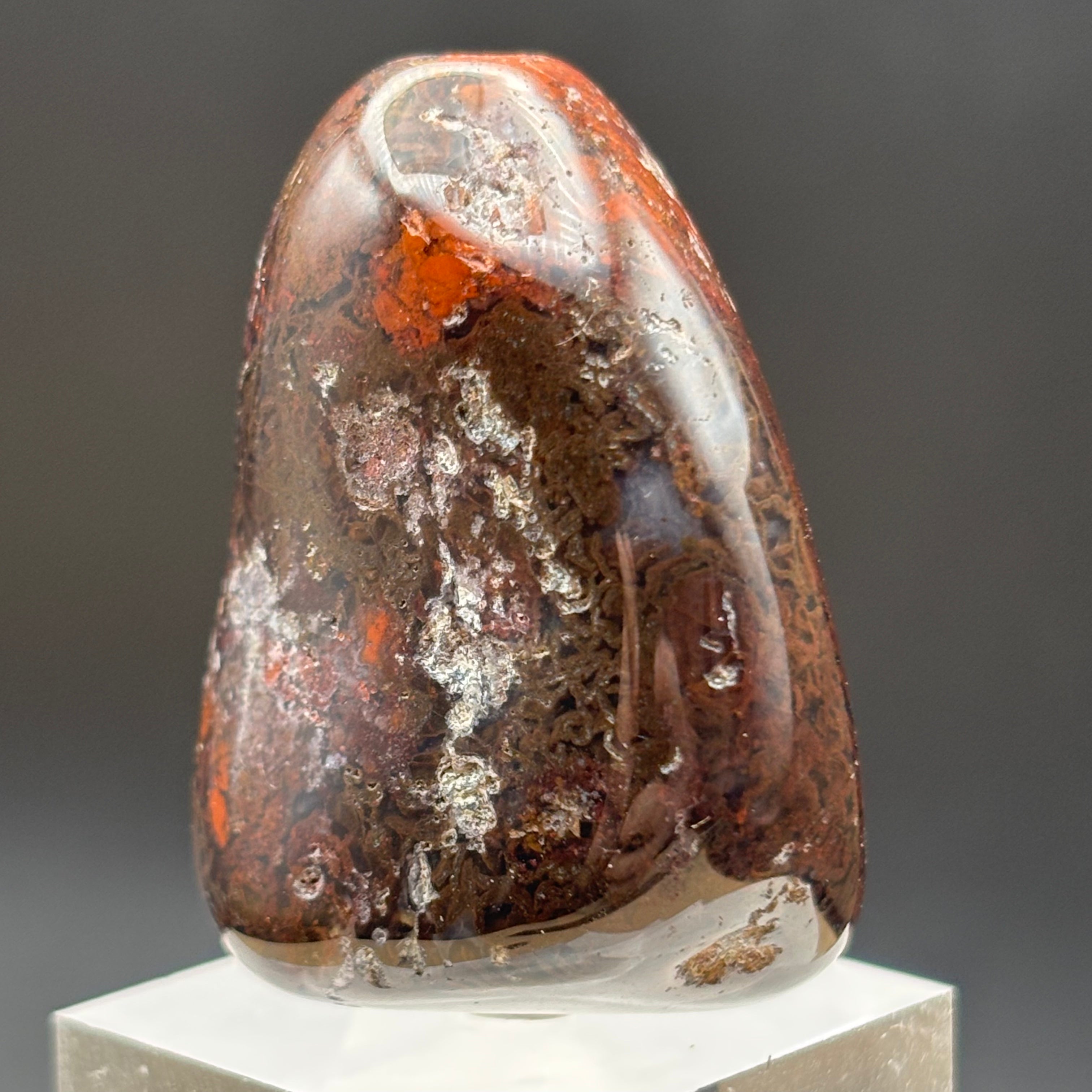 Laguna Agate - 052