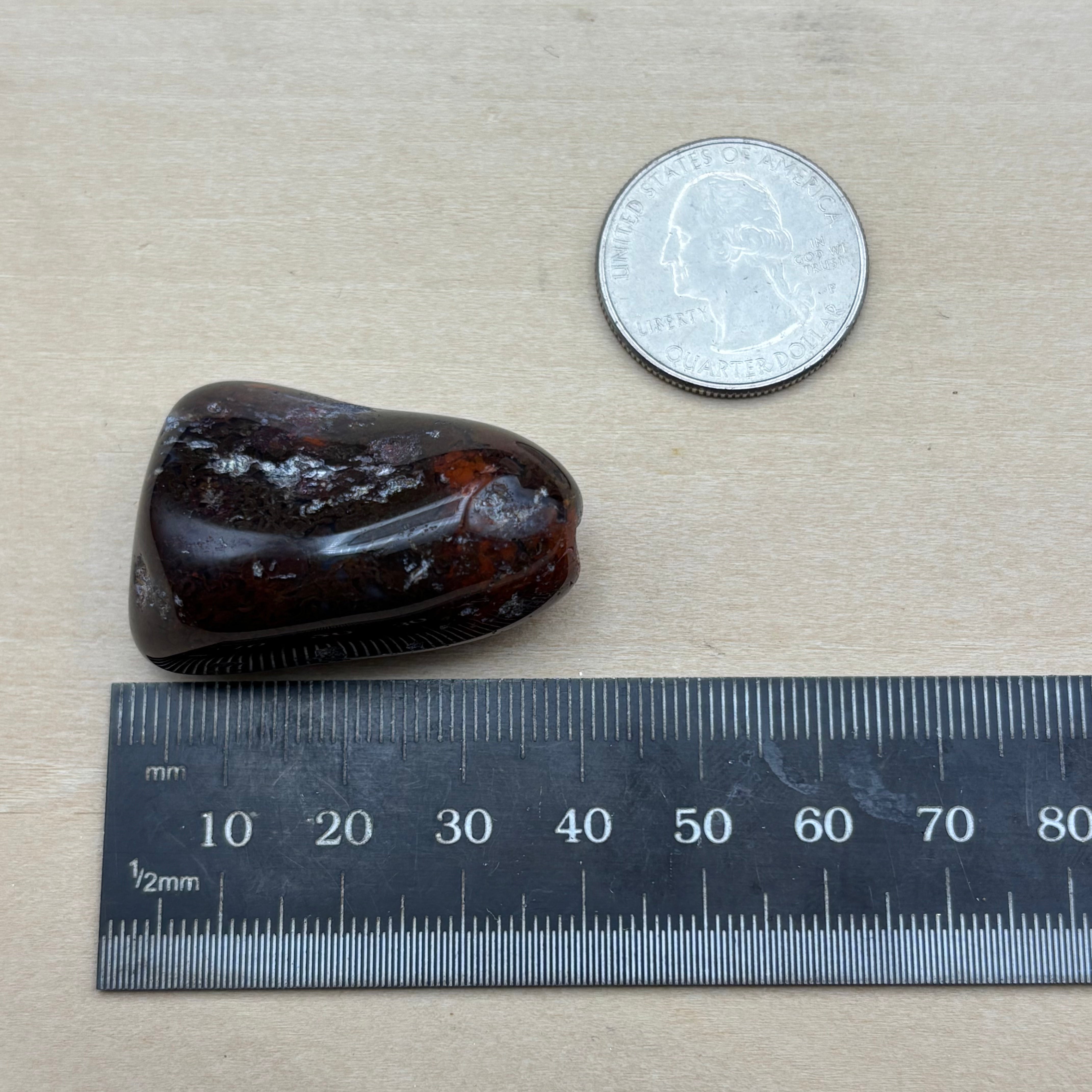 Laguna Agate - 052