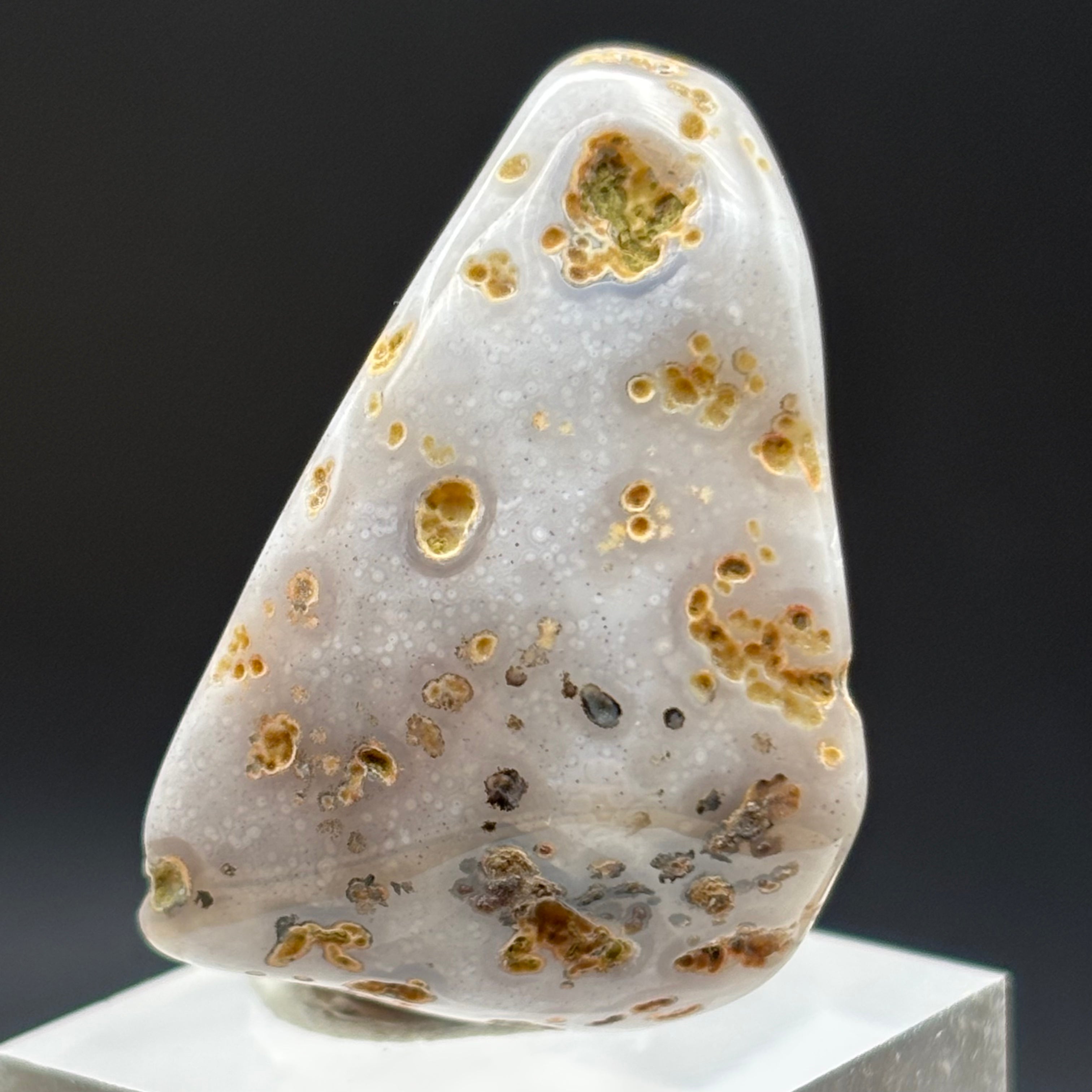 Laguna Agate - 062