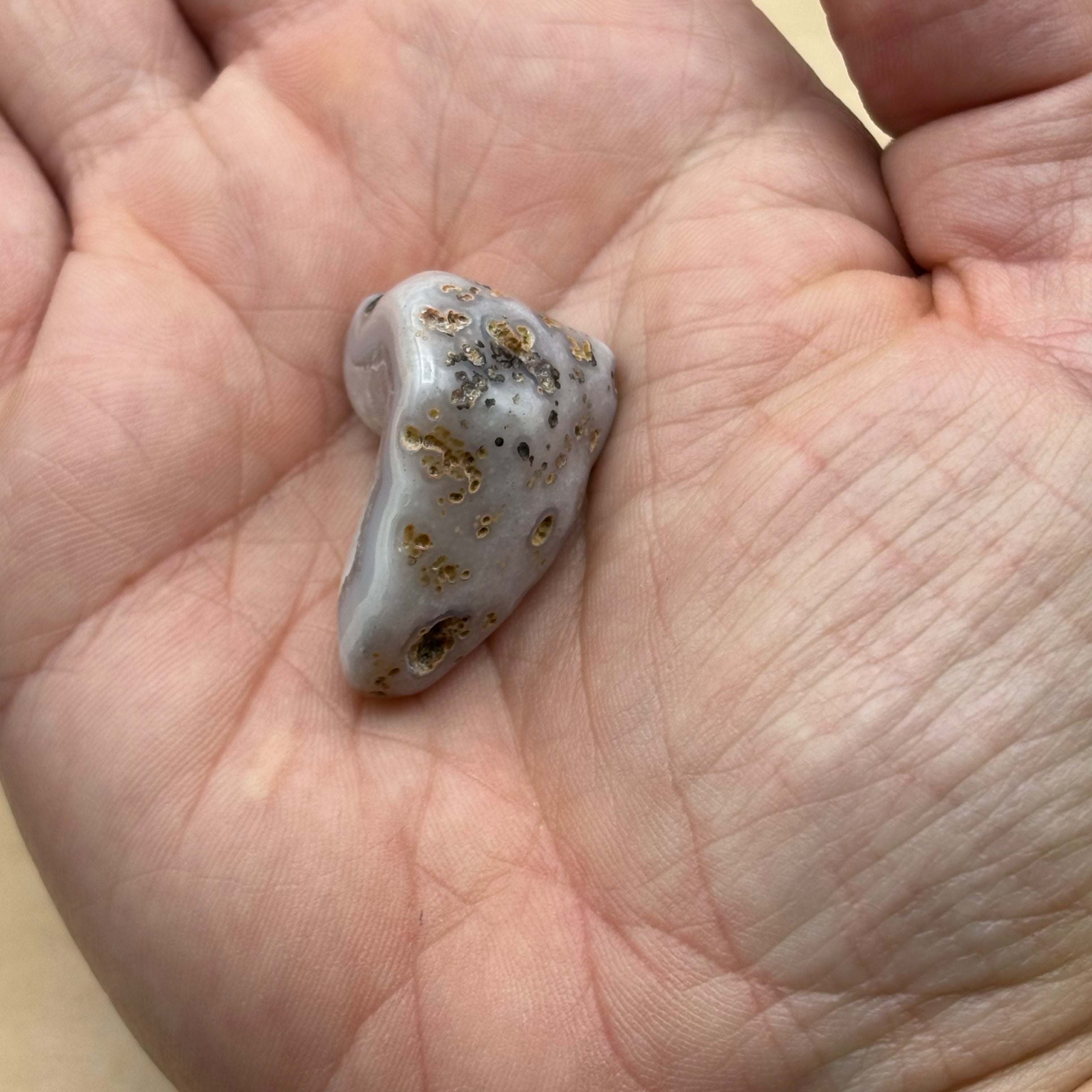 Laguna Agate - 062