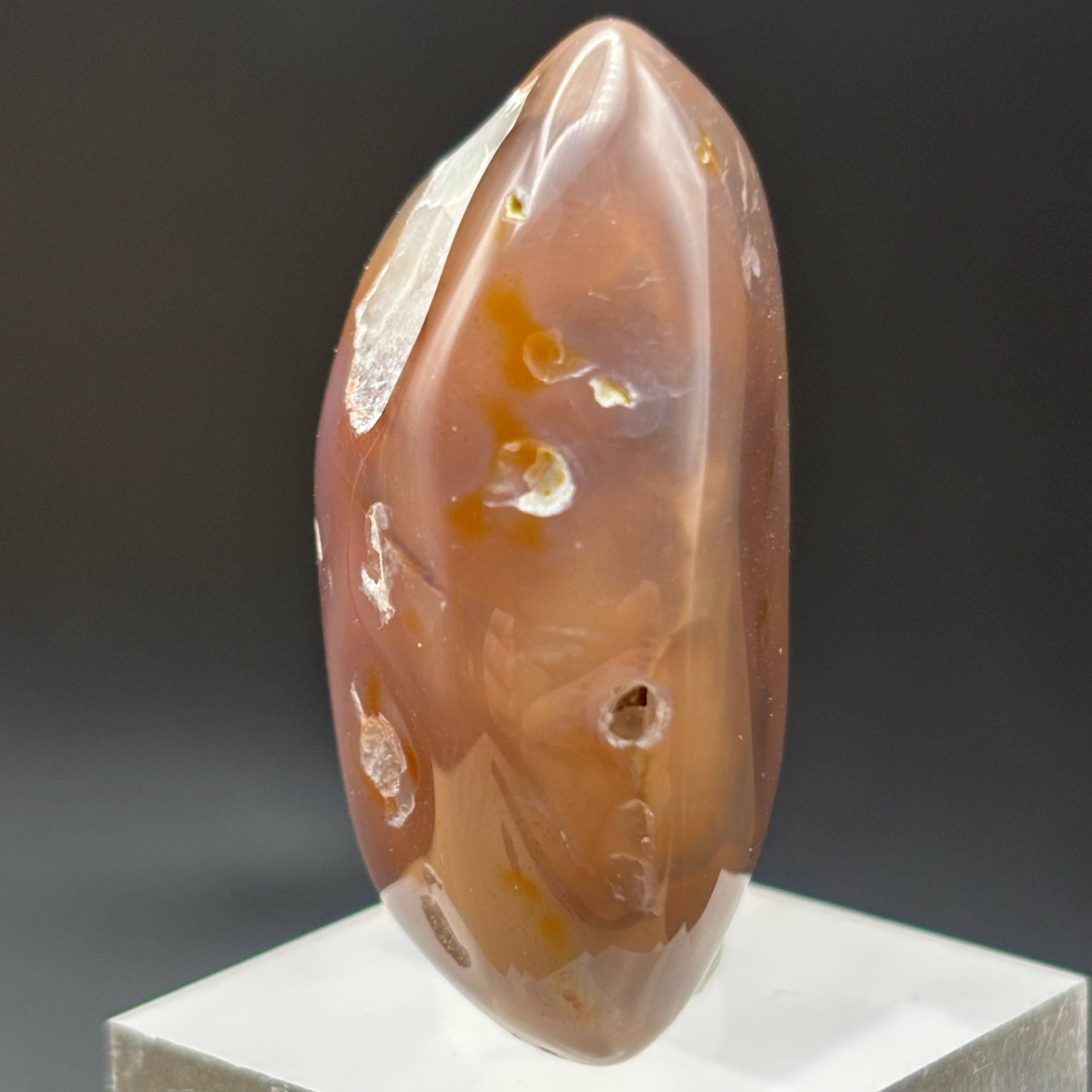 Laguna Agate - 077