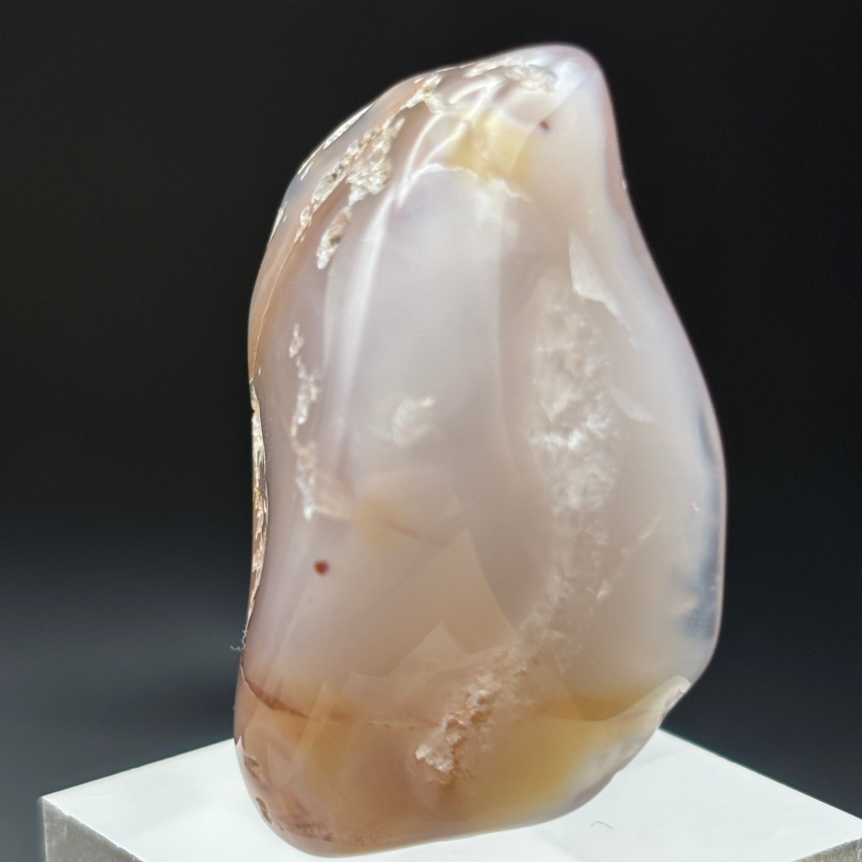 Laguna Agate - 083