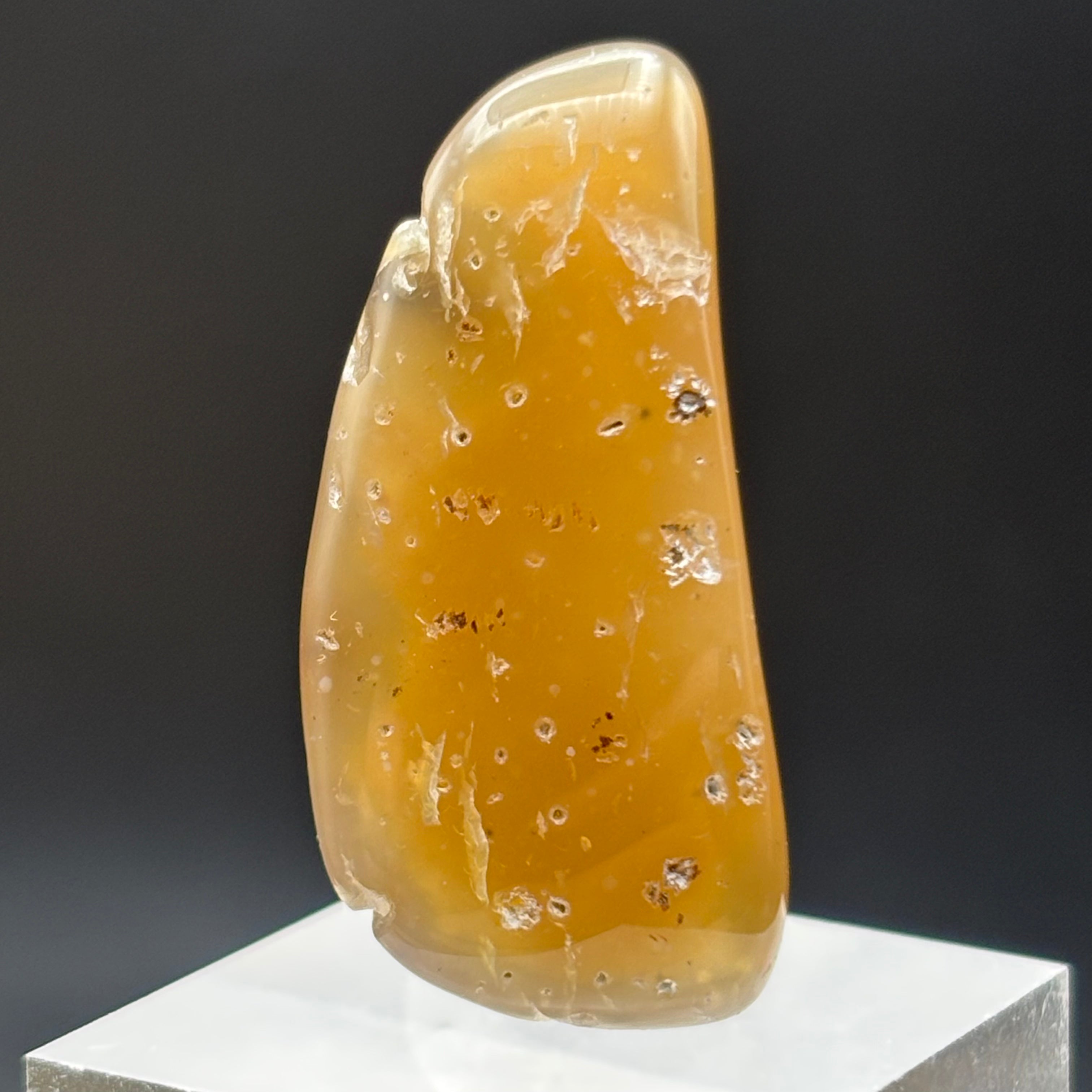 Laguna Agate - 084