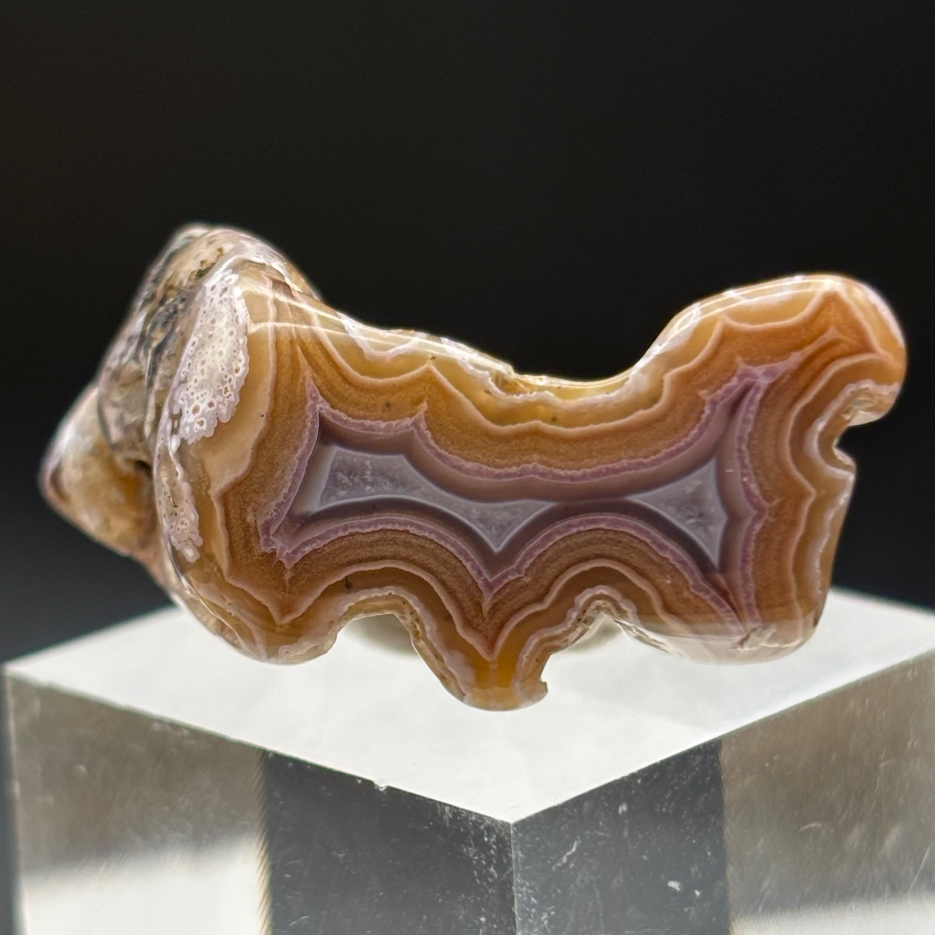 Laguna Agate - 098
