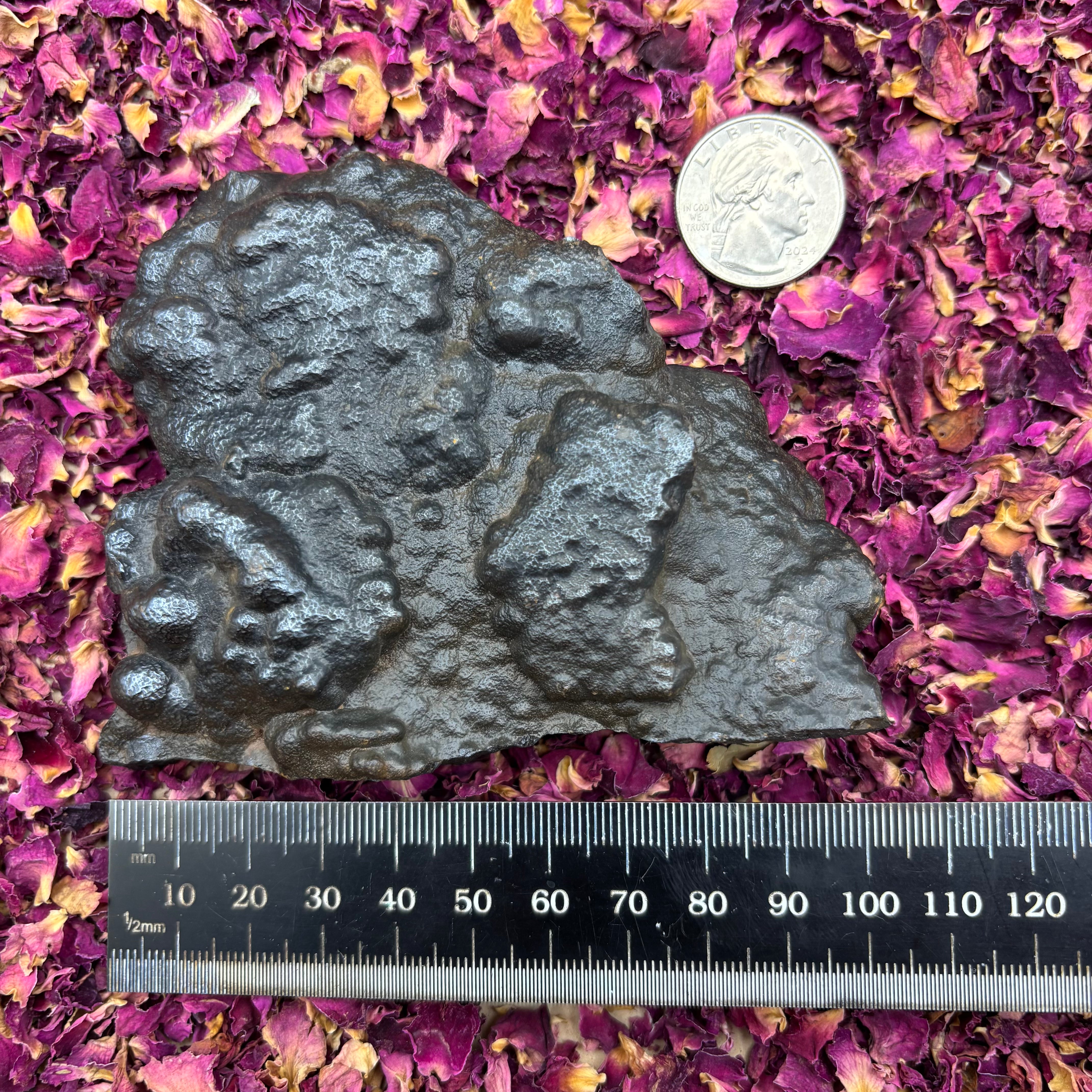 Hematite Bed - 032