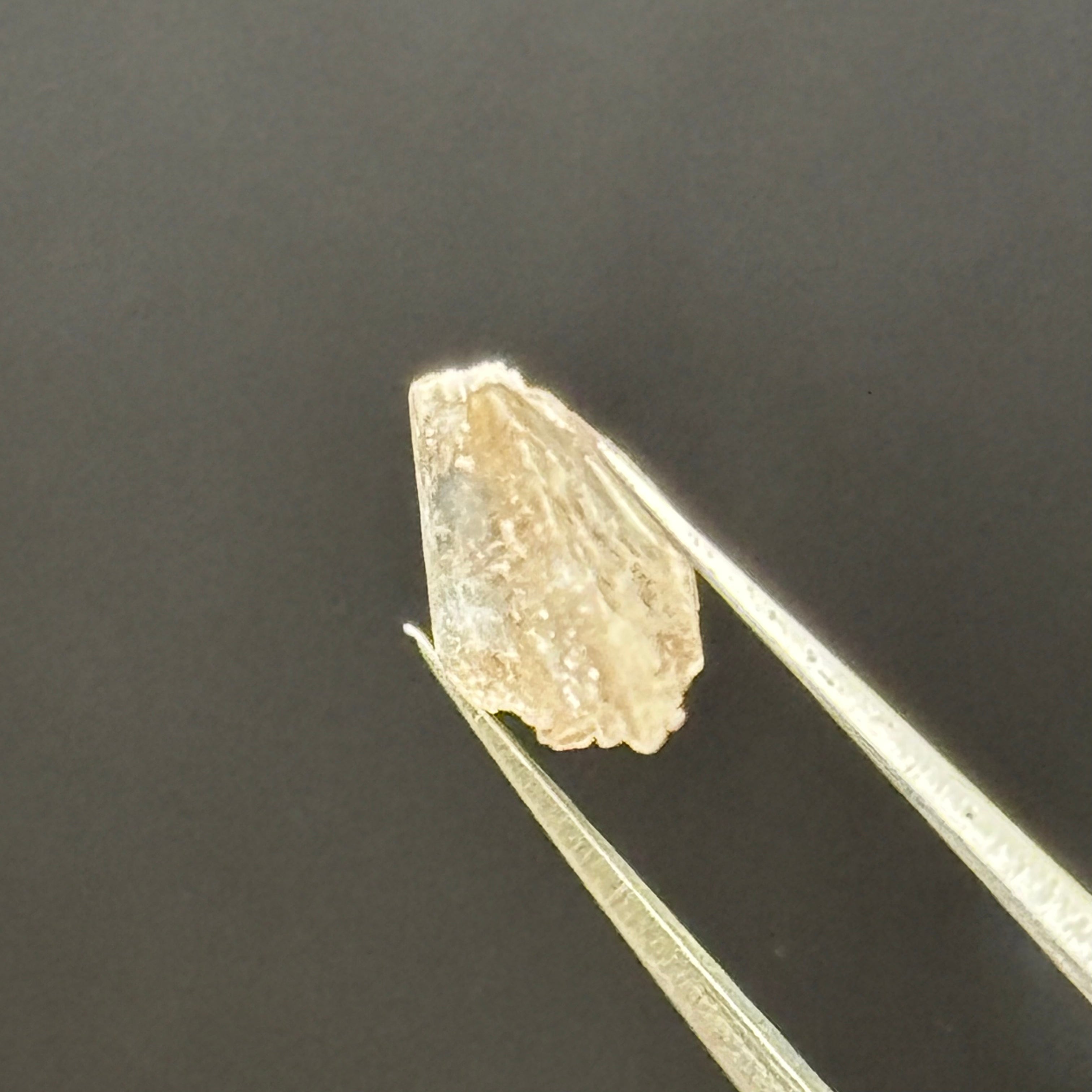 Phenakite Gem Crystal - 045