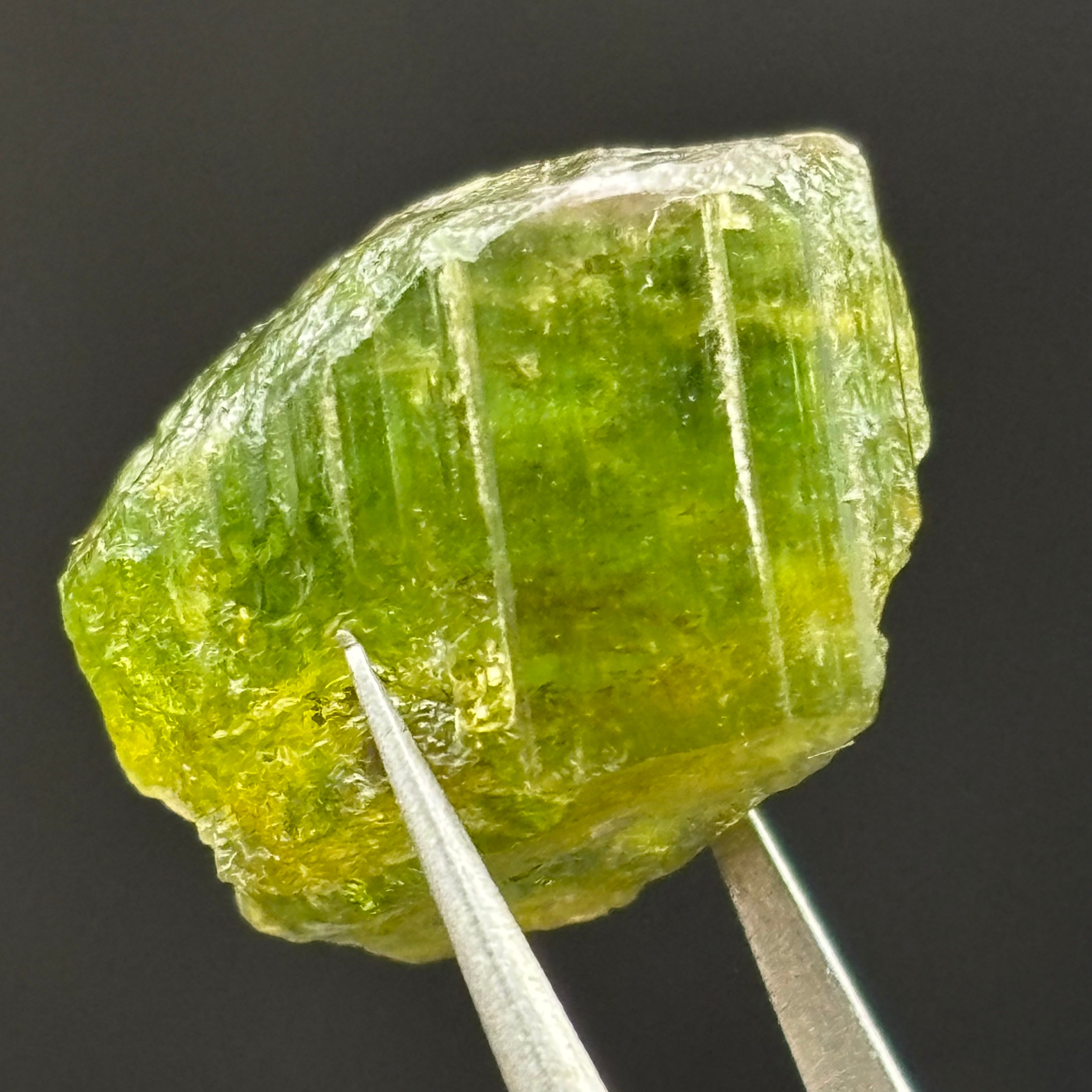 Green Tourmaline Crystal - 082