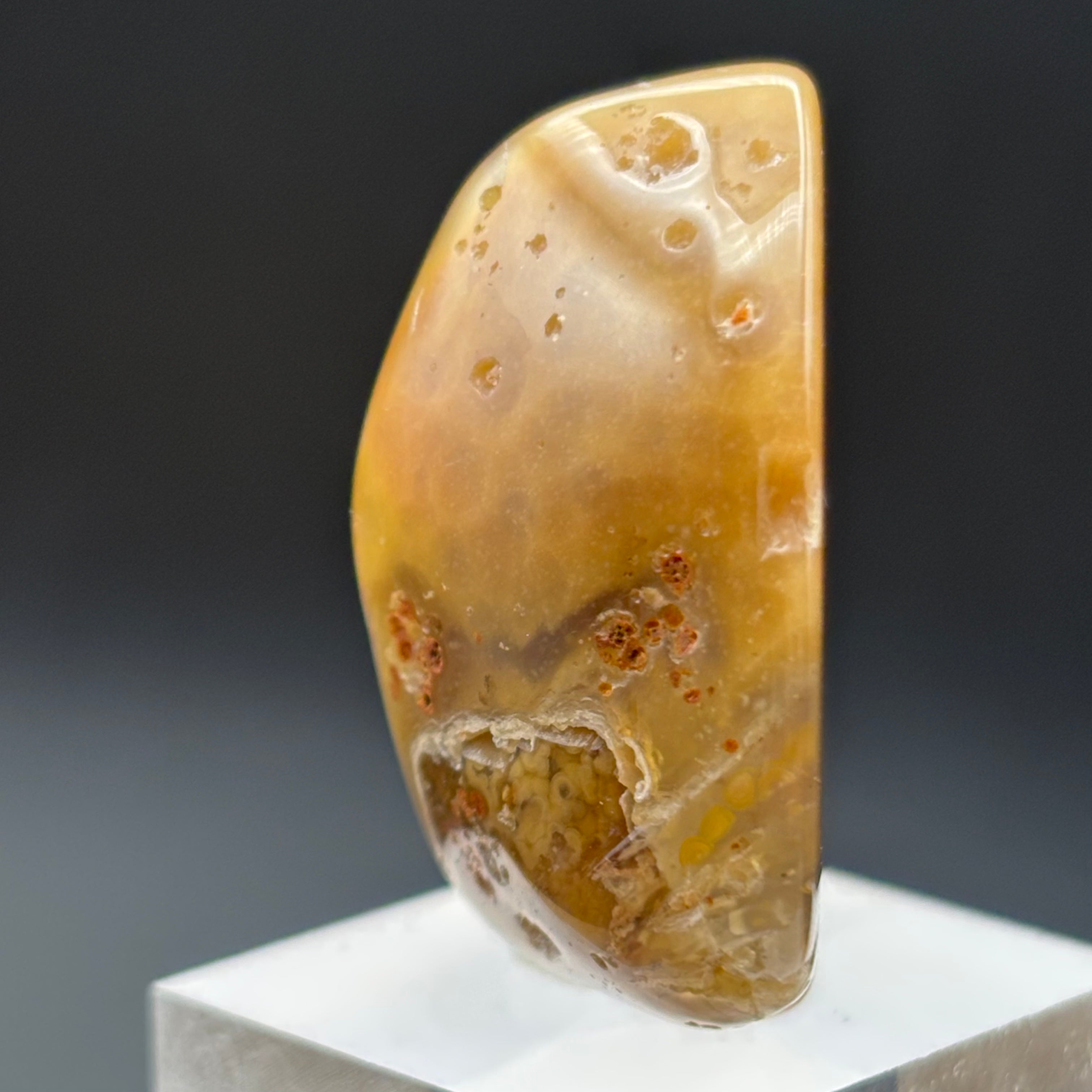 Laguna Agate - 123